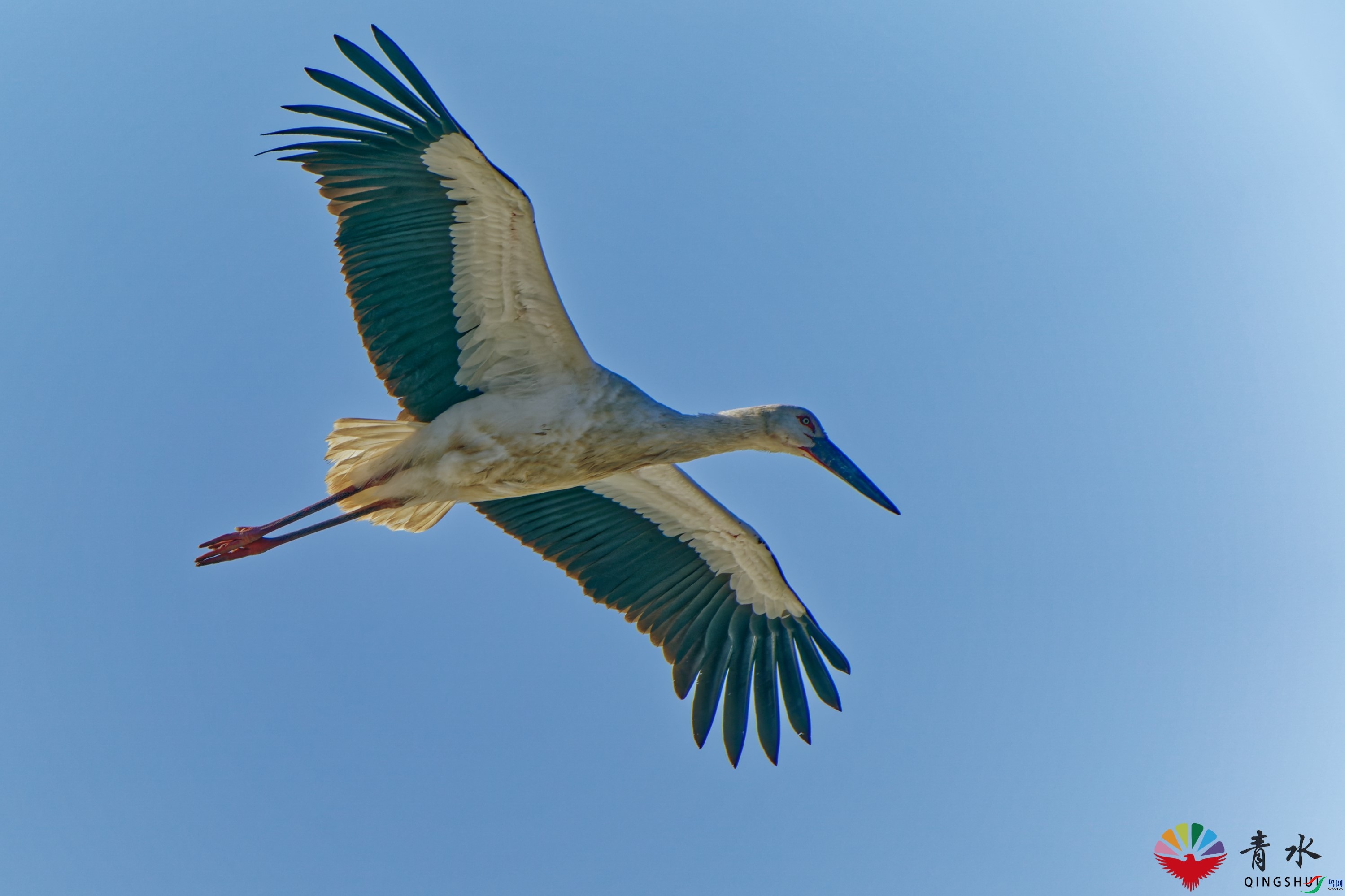 DSC03181_DxO.jpg