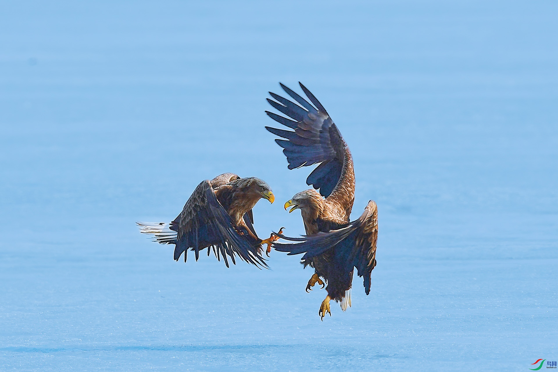 DSC_4589-1.jpg