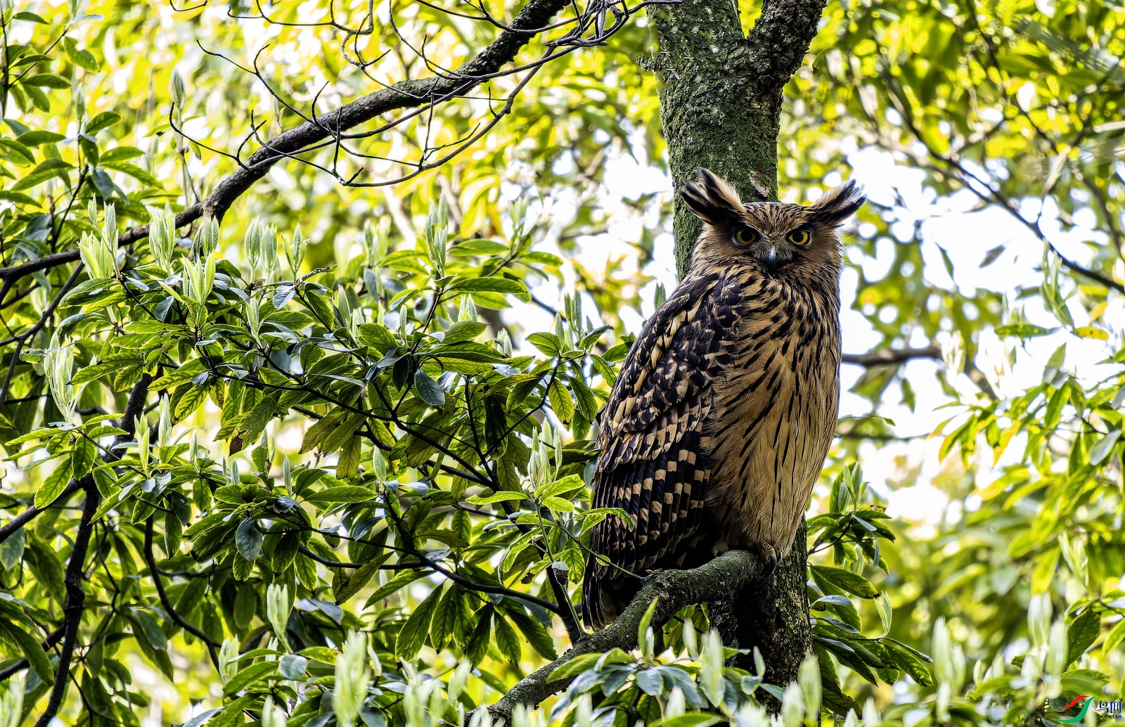 �������^A (714)-1.jpg