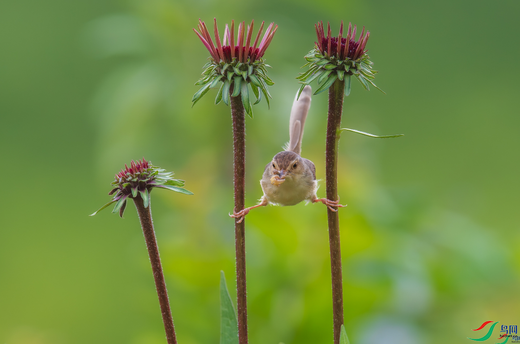 �������ѡ������桷���ٻ����Ѿ�������ɽ���� 3.png