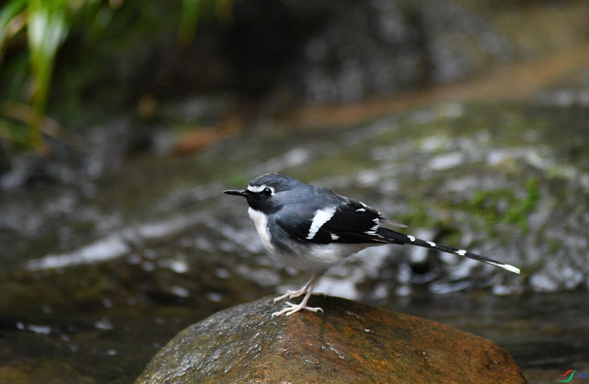 DSC_3721.jpg