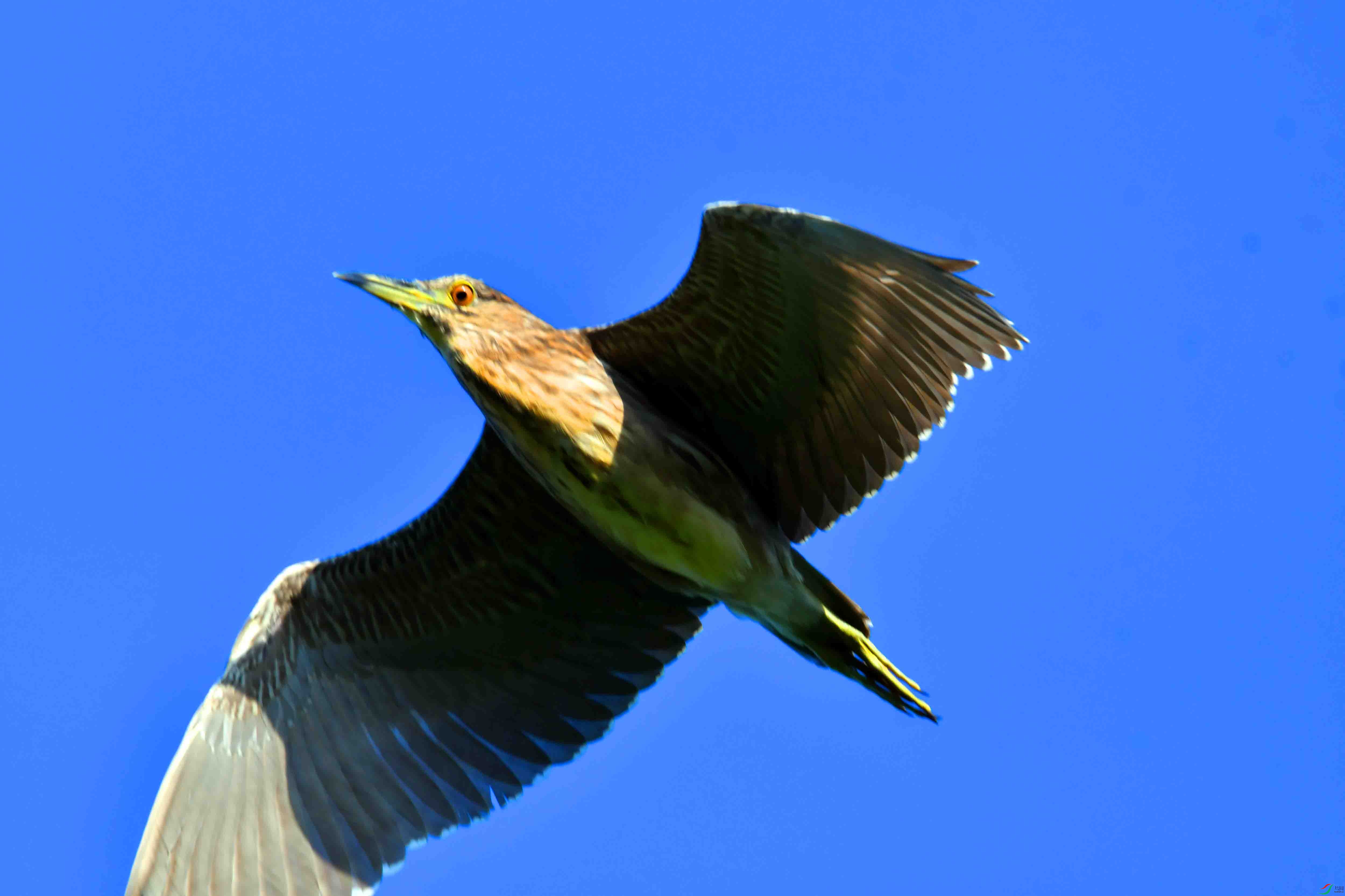 DSC_3910.JPG