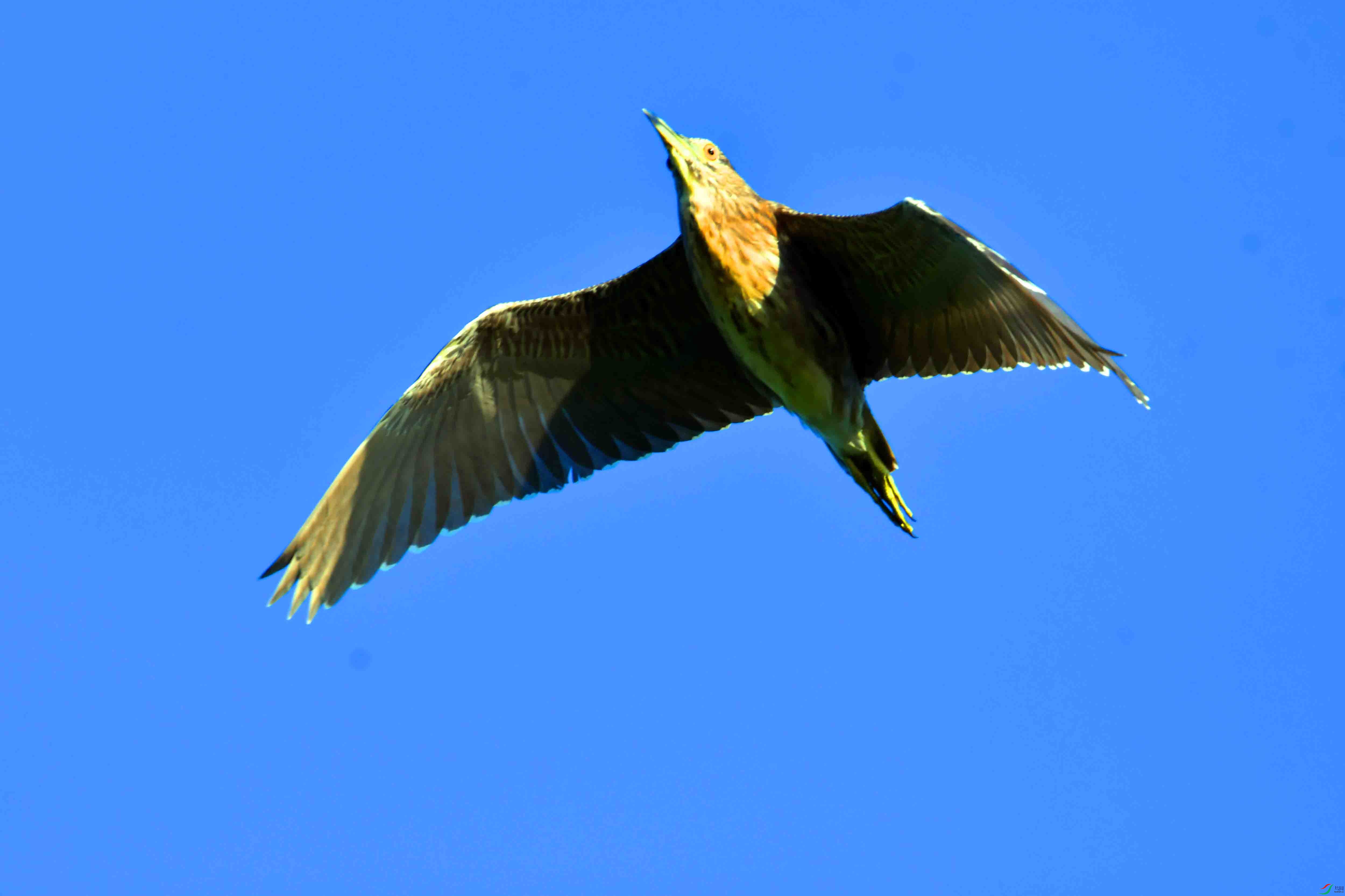 DSC_3908.JPG