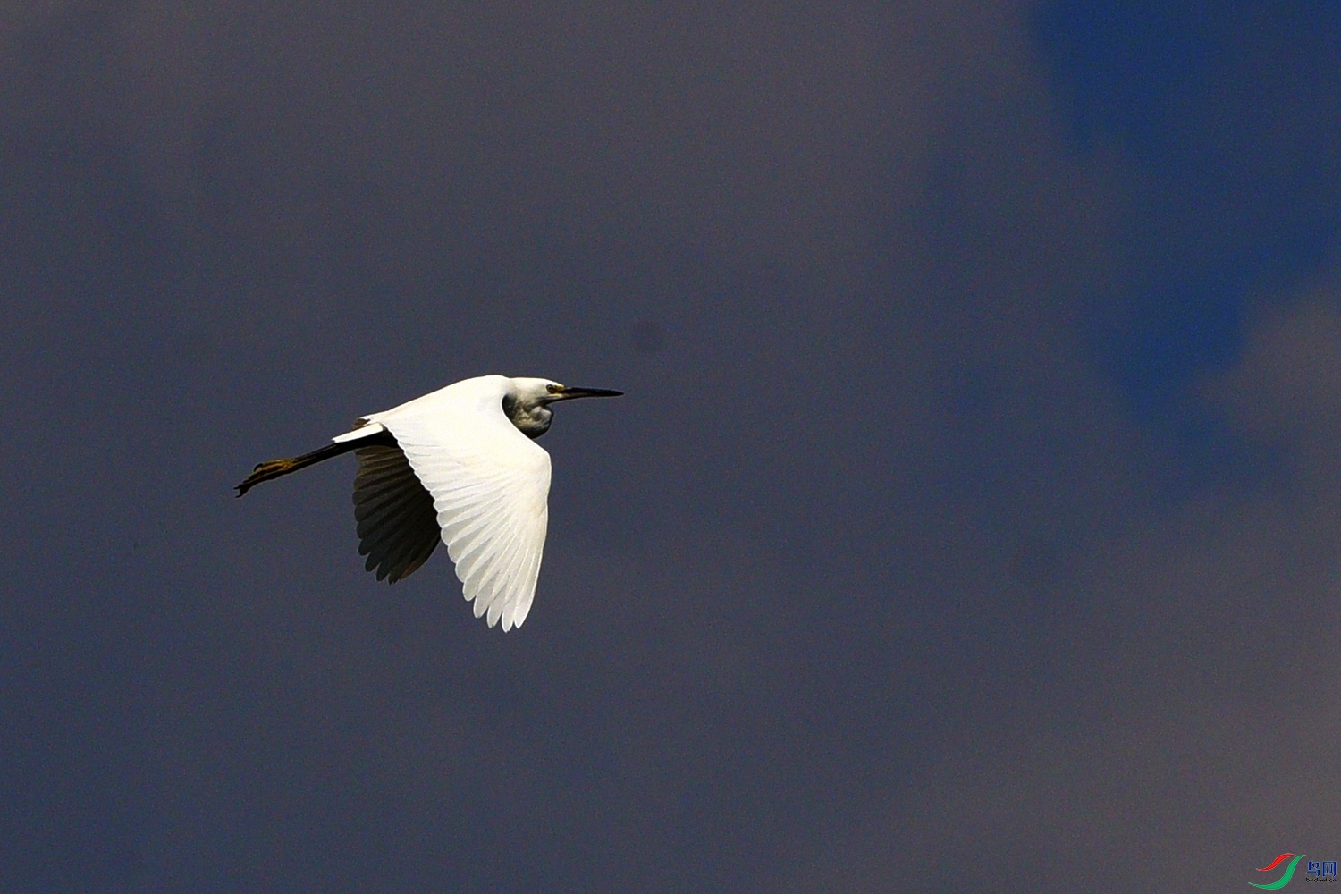 DSC_7292.JPG
