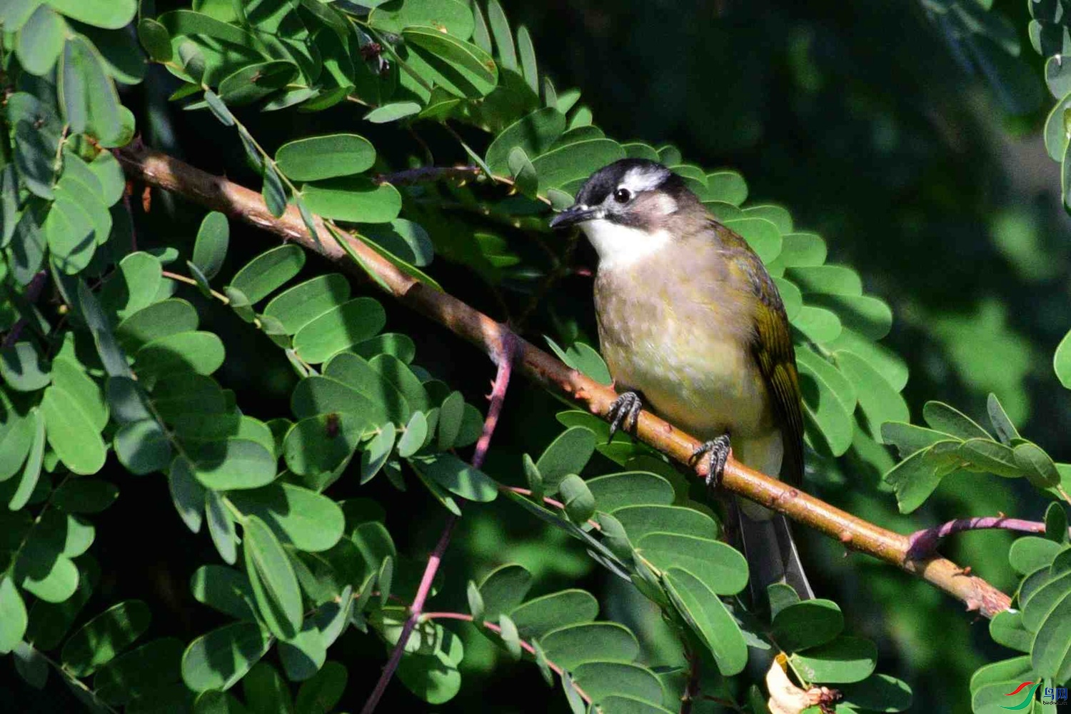 DSC_8854.JPG