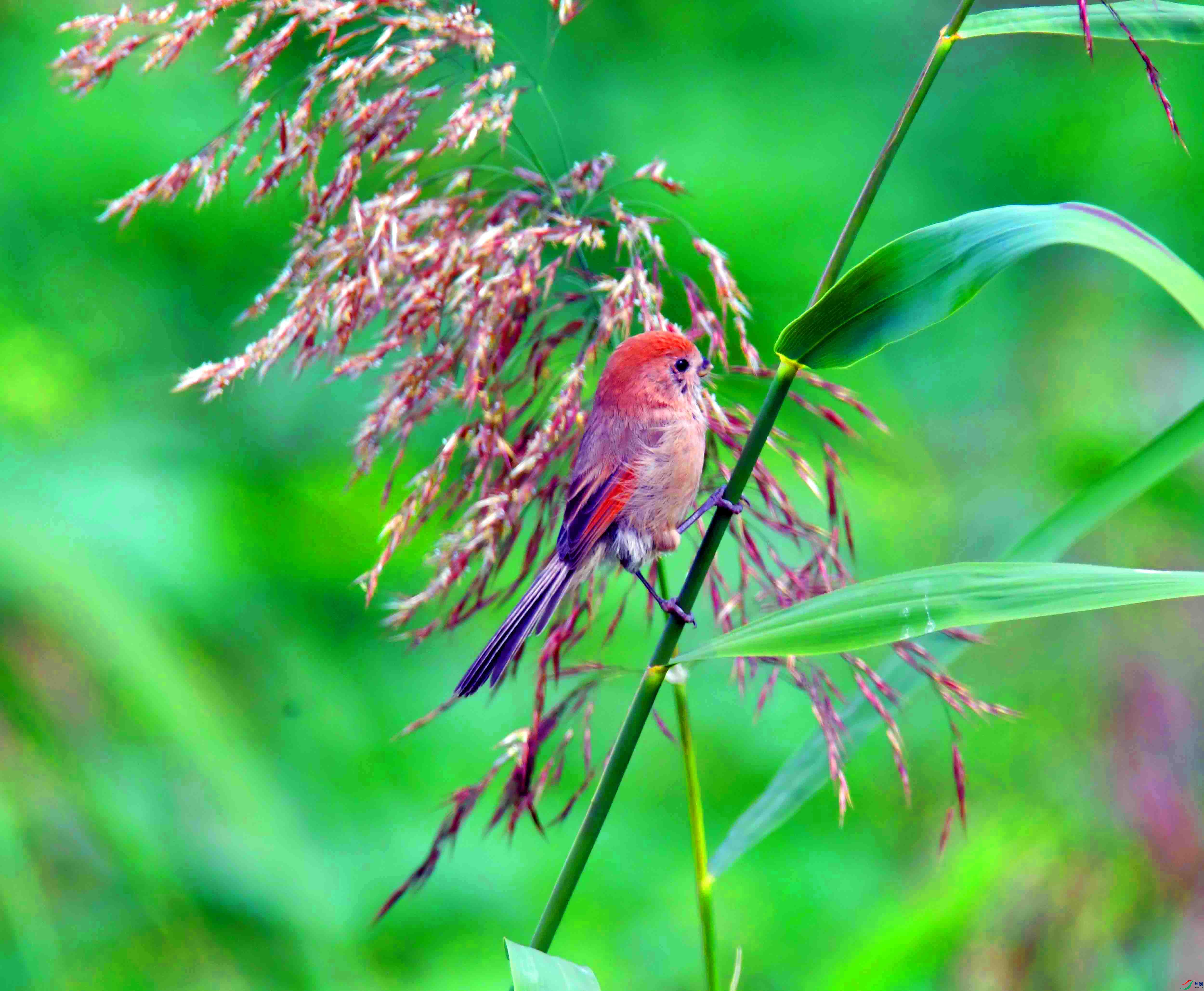 DSC_2275.JPG