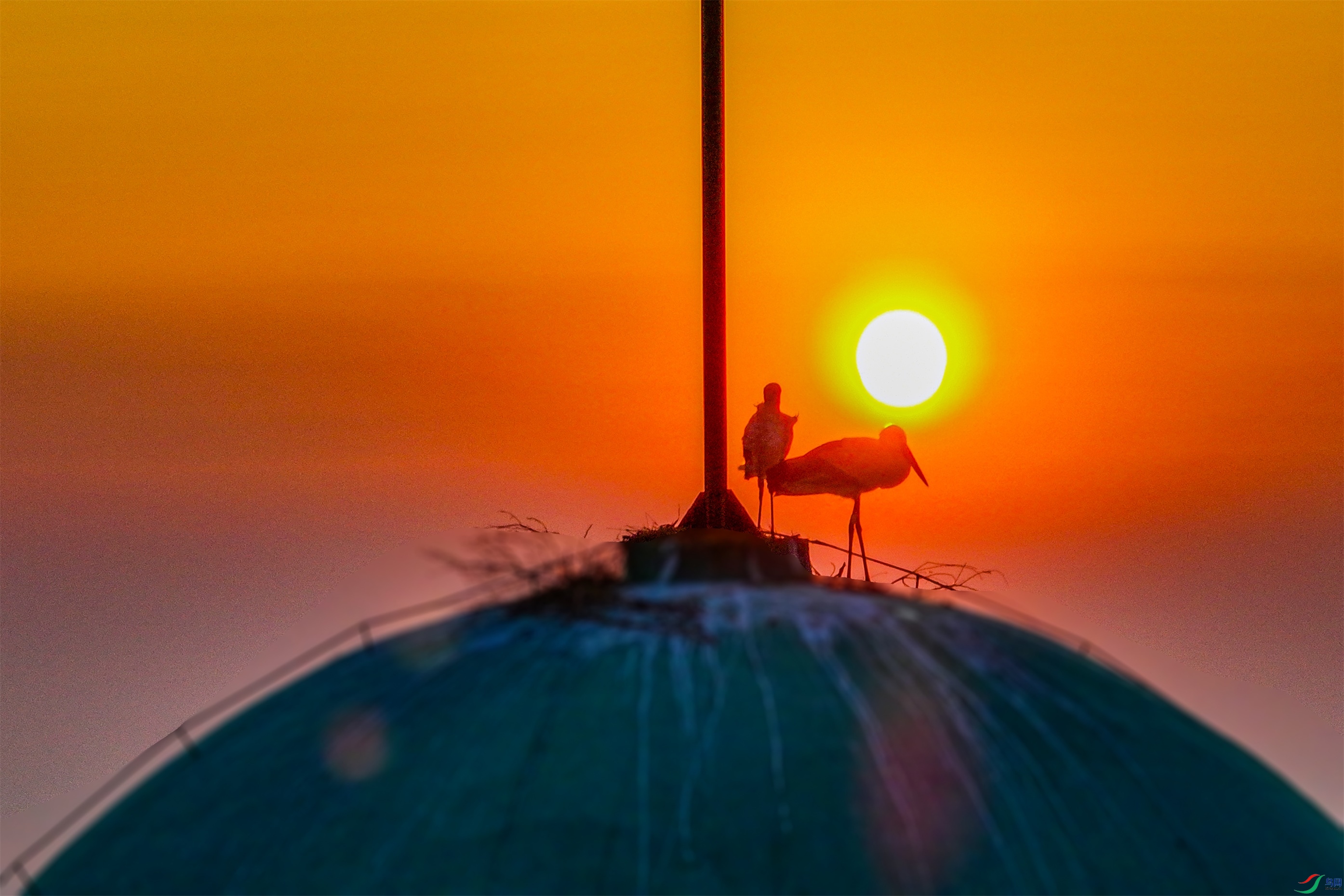 dji_fly_20250403_053638_153_1743669755536_photo ����1.jpg