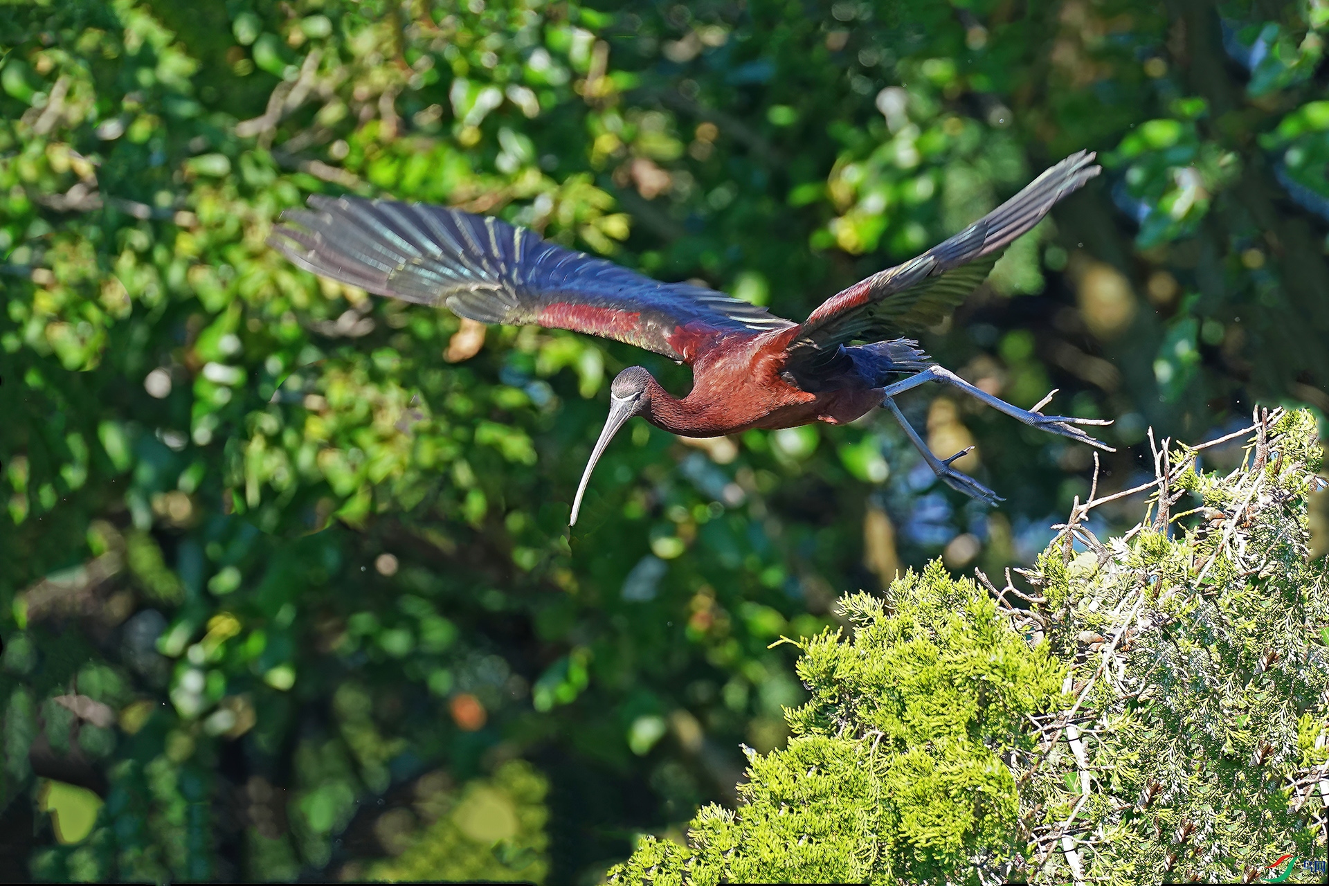 DSC00193--.jpg