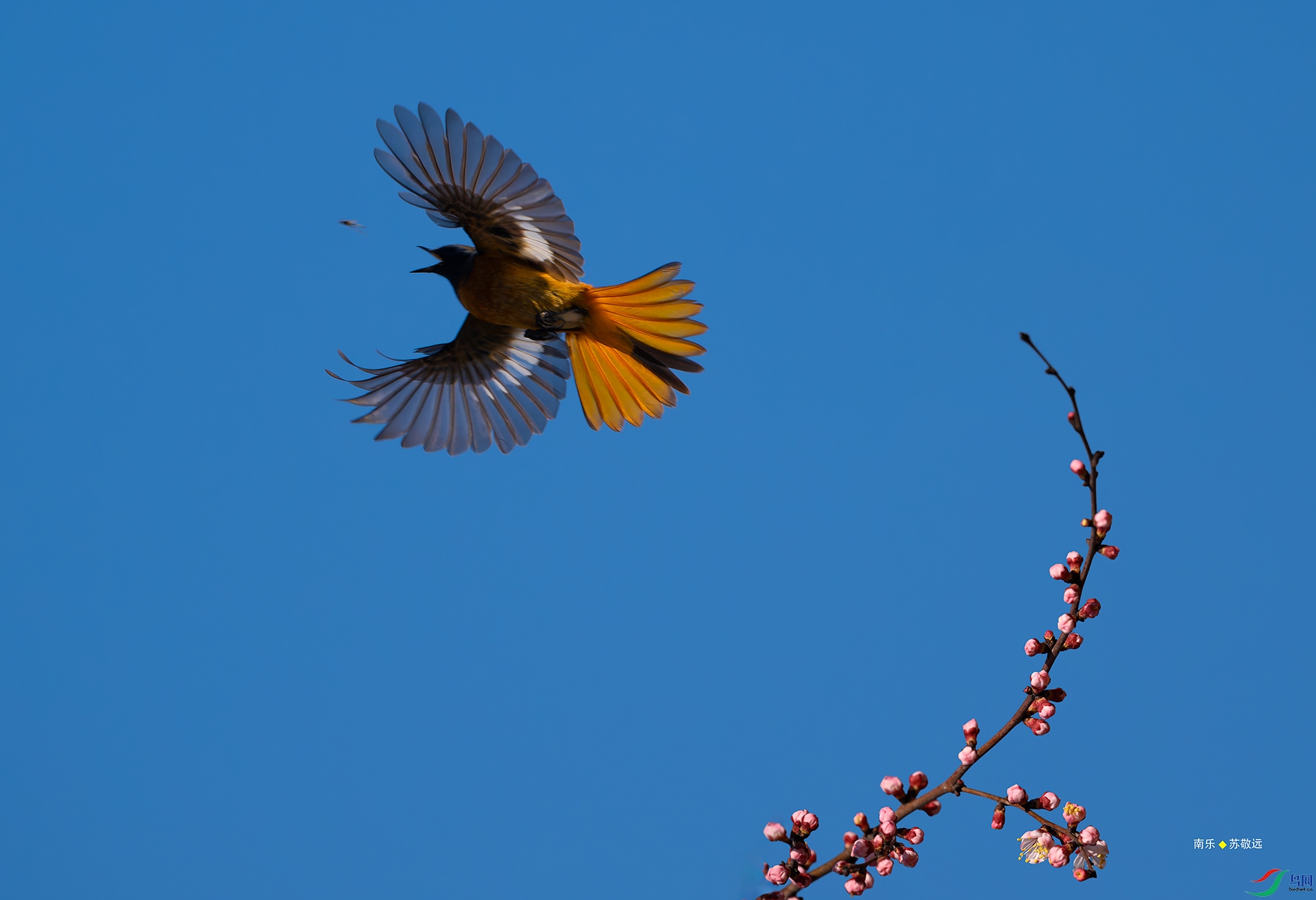 _DSC6244-NEF_DxO_С.jpg