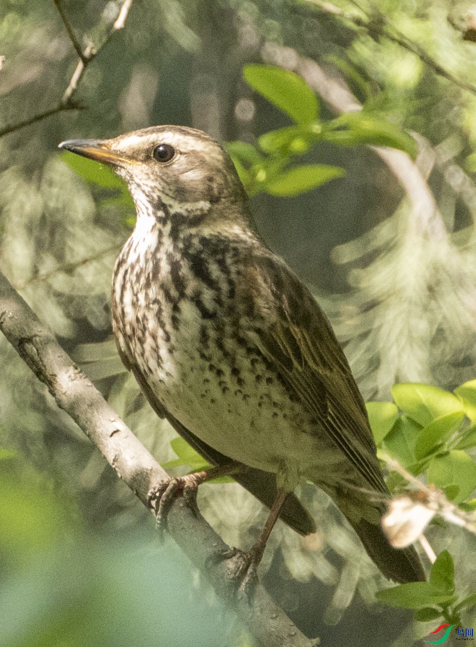 ������̳ (17).jpg