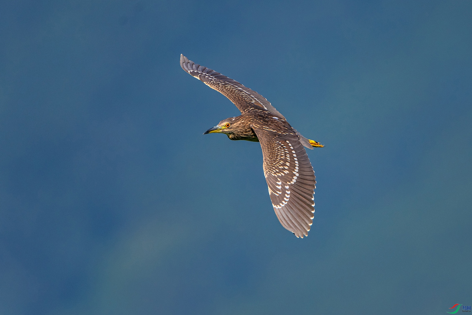 _AUU9379ҹ��(24.8.14).jpg
