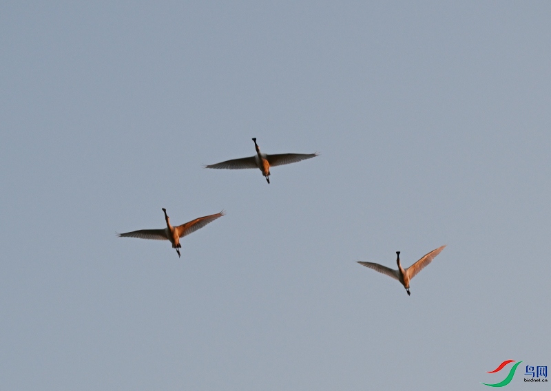 DSC_7849.JPG