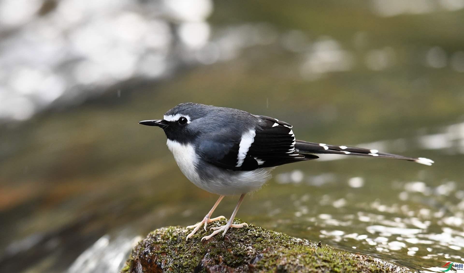 DSC_5751.jpg