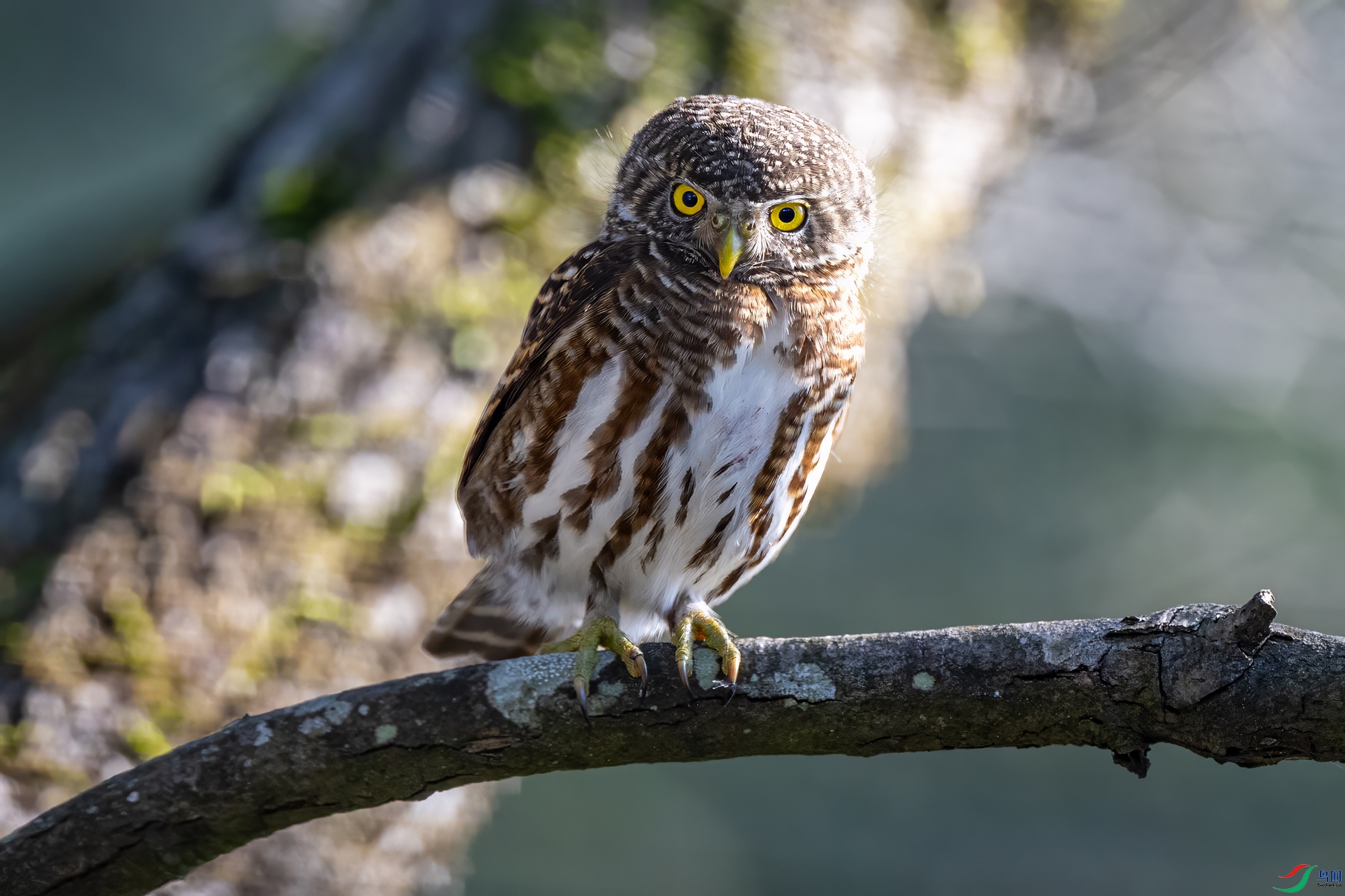 DSC_7704.jpg