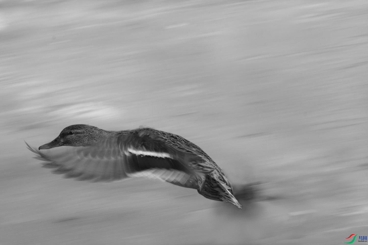 IMG_0438.jpg