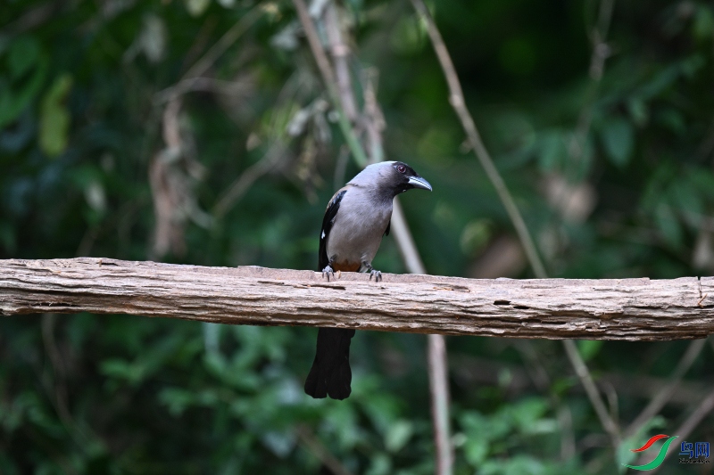 DSC_1754.JPG