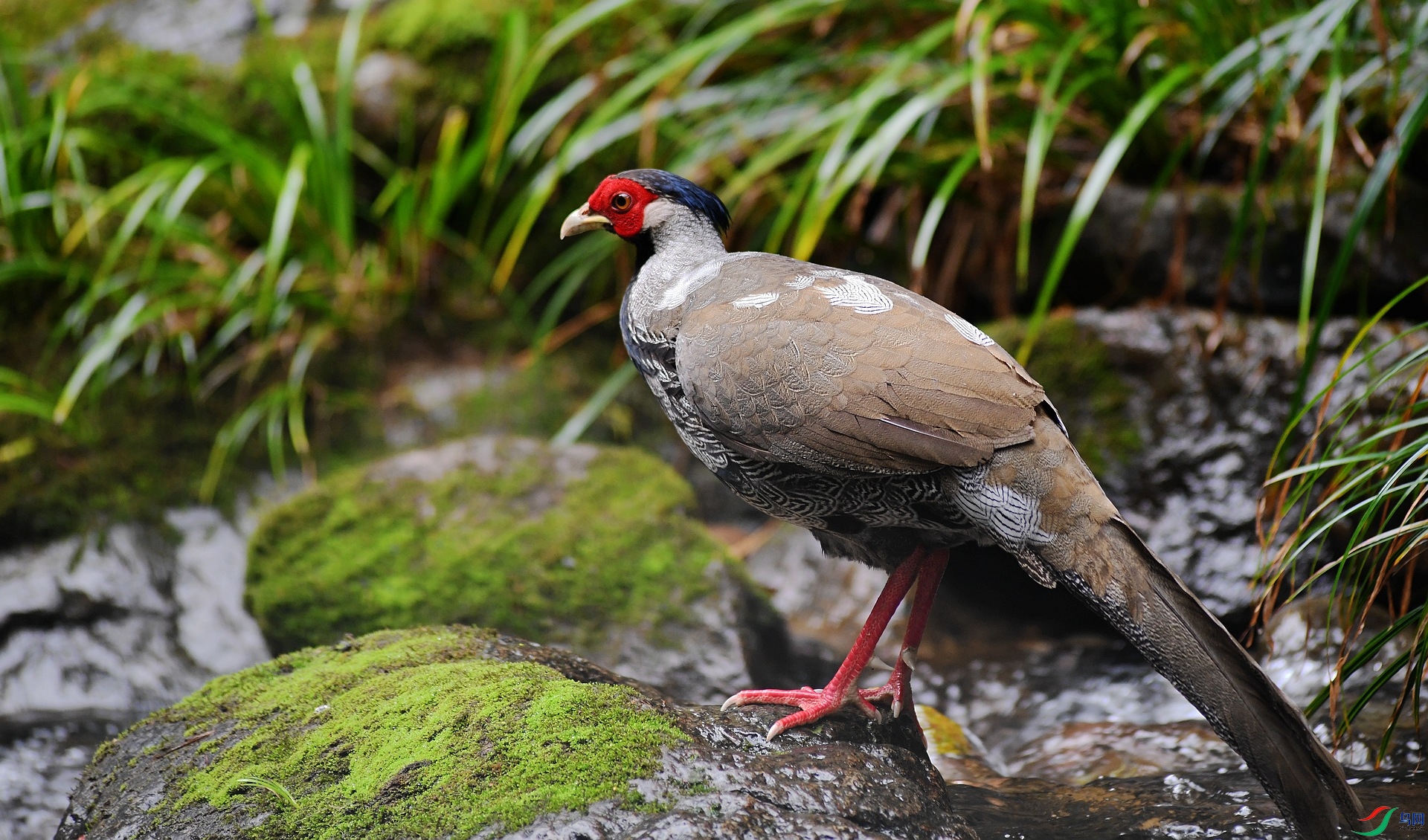 DSC_3496.jpg