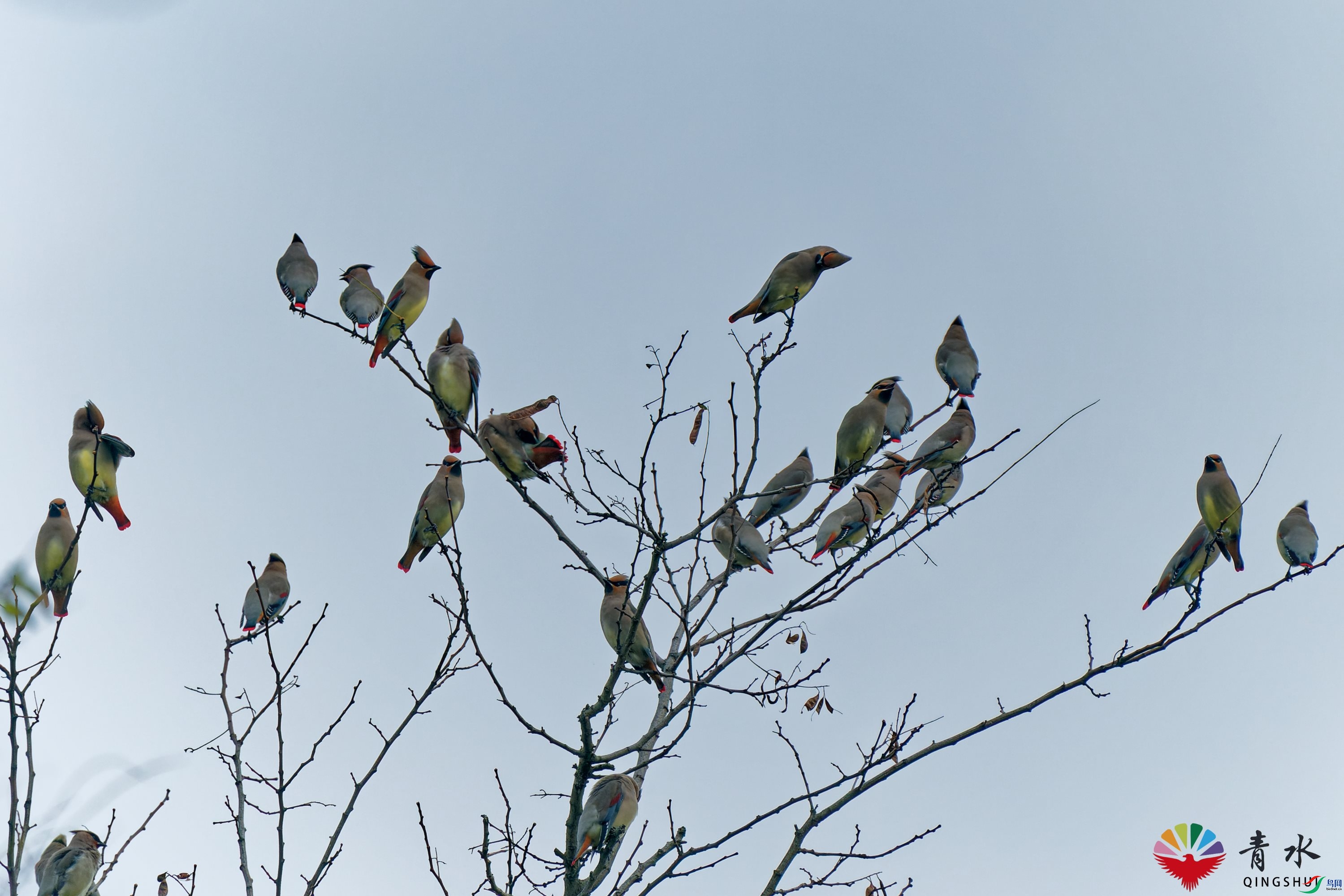 DSC09961_DxO.jpg