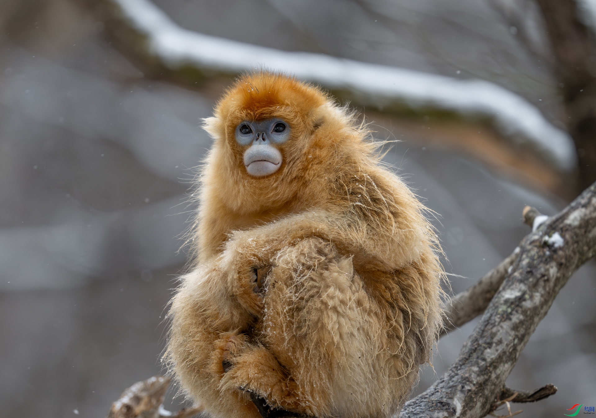 DSC_0083-1.jpg