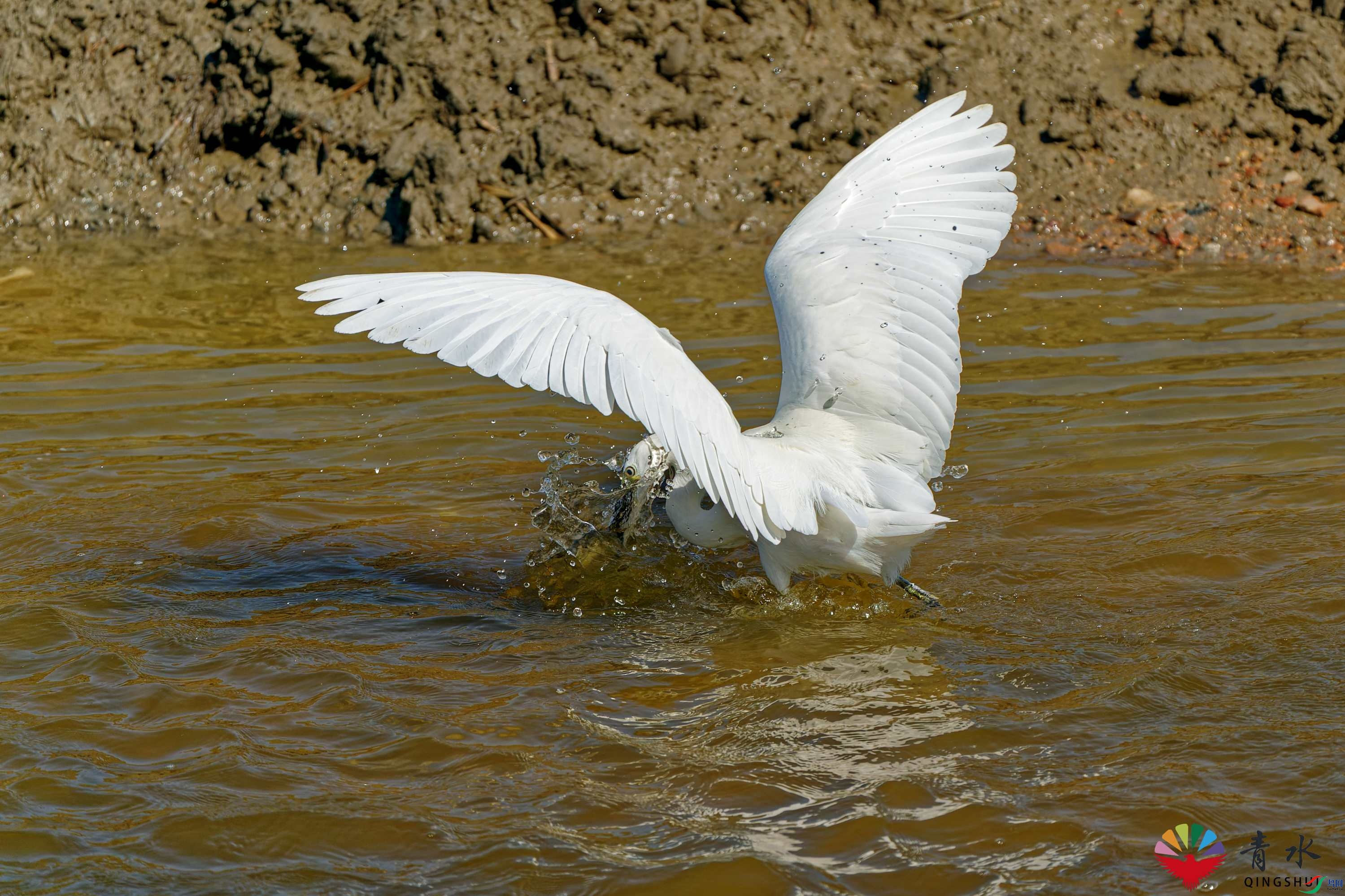 DSC03655_DxO.jpg