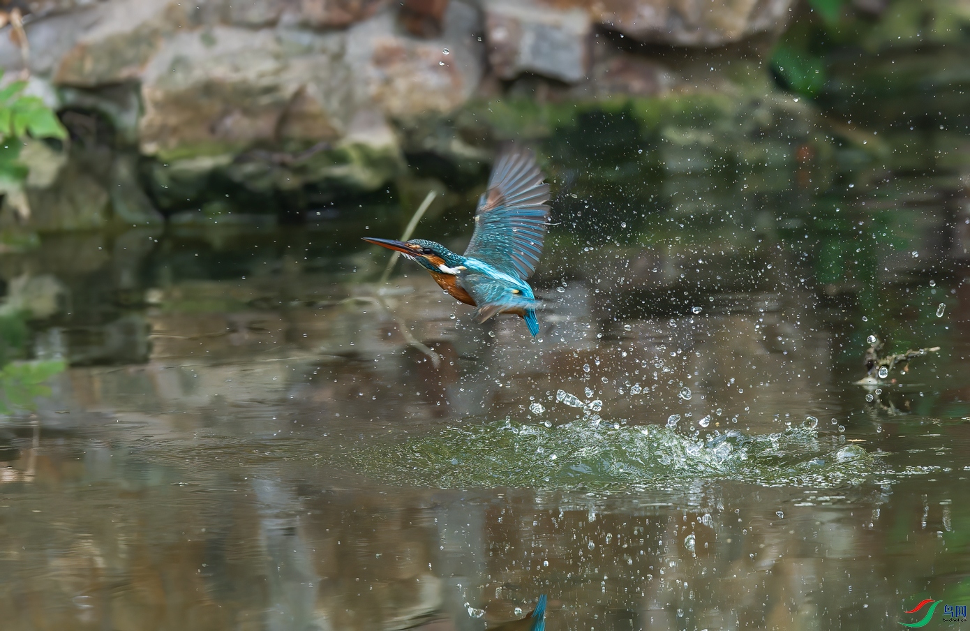 _DSC3505-NEF_DxO_DeepPRIMEXD-1.jpg