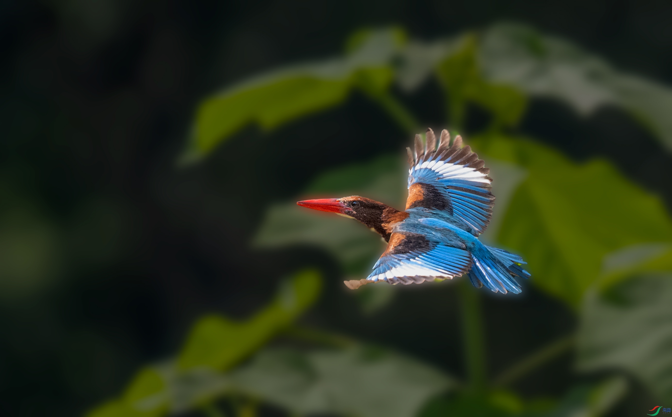 DSC_4130-21.jpg