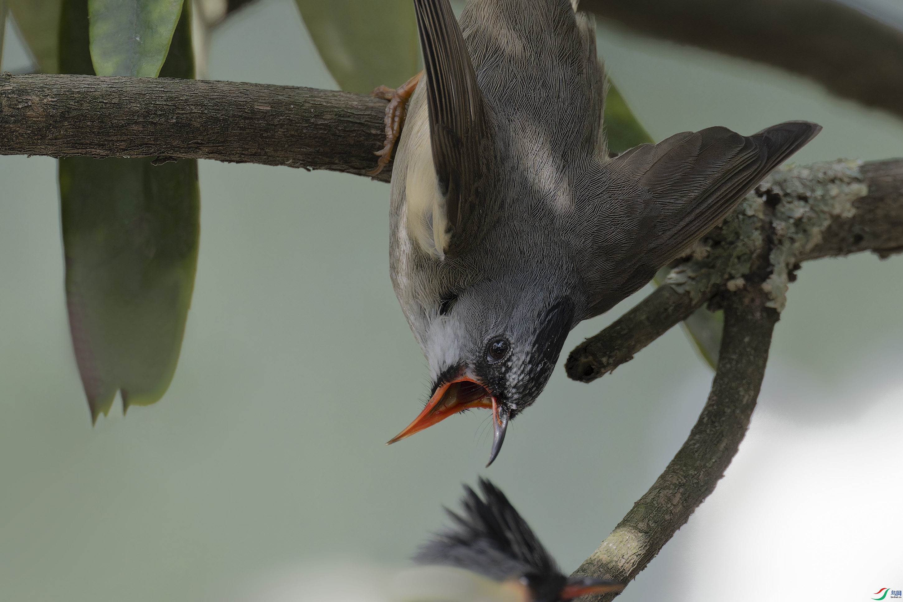 DSC_5777_DxO.jpg