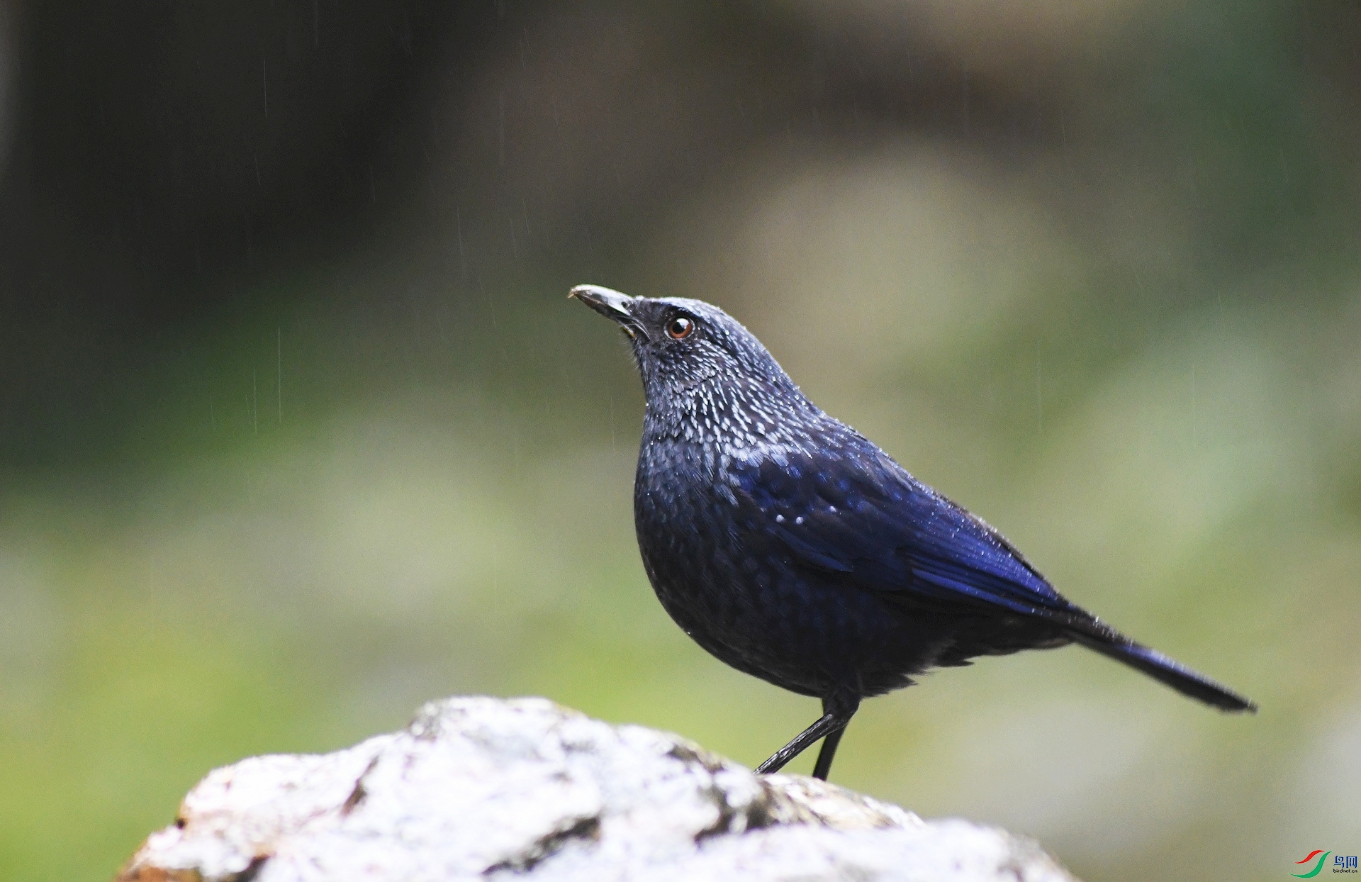 DSC_3911.jpg