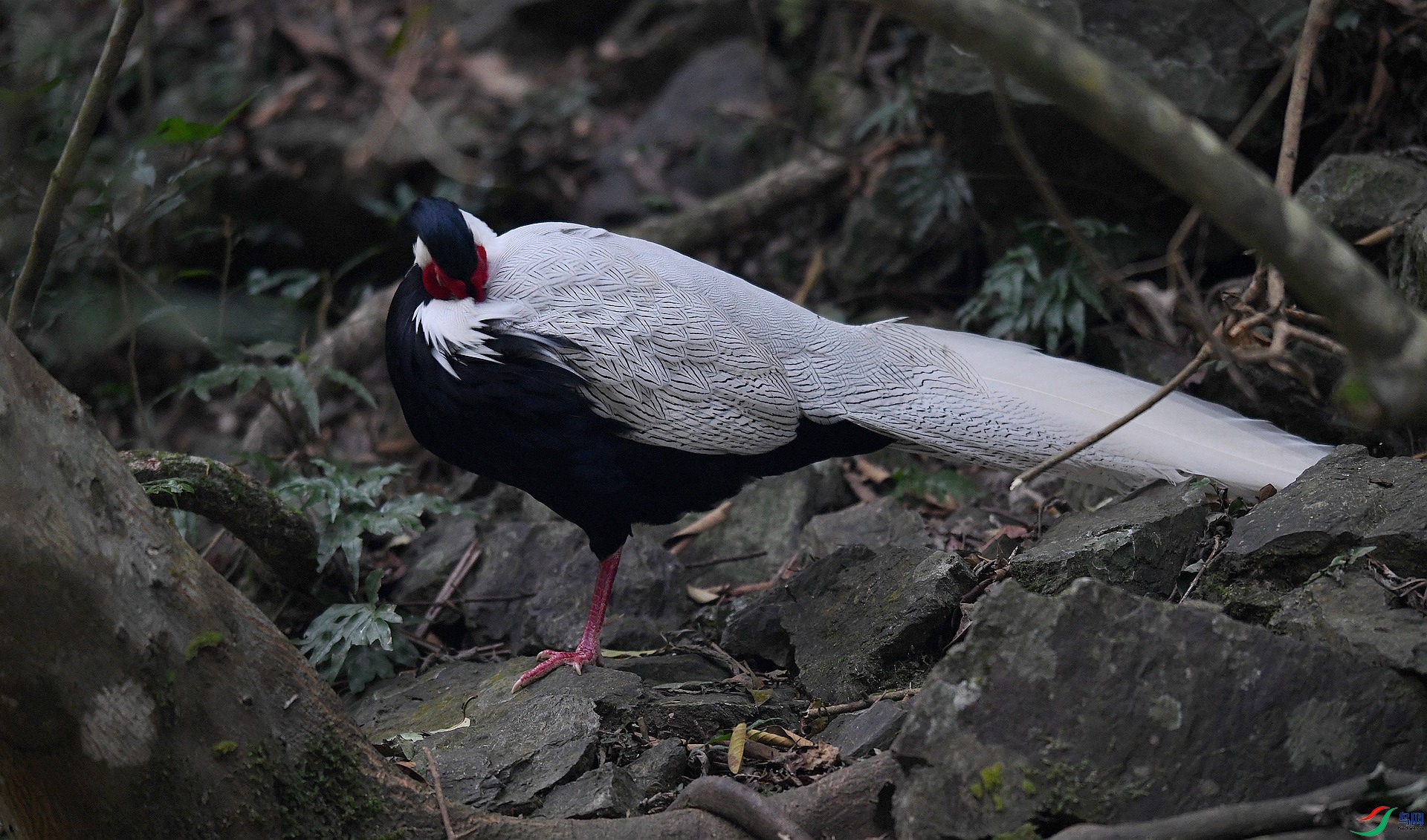 DSC_2908.jpg
