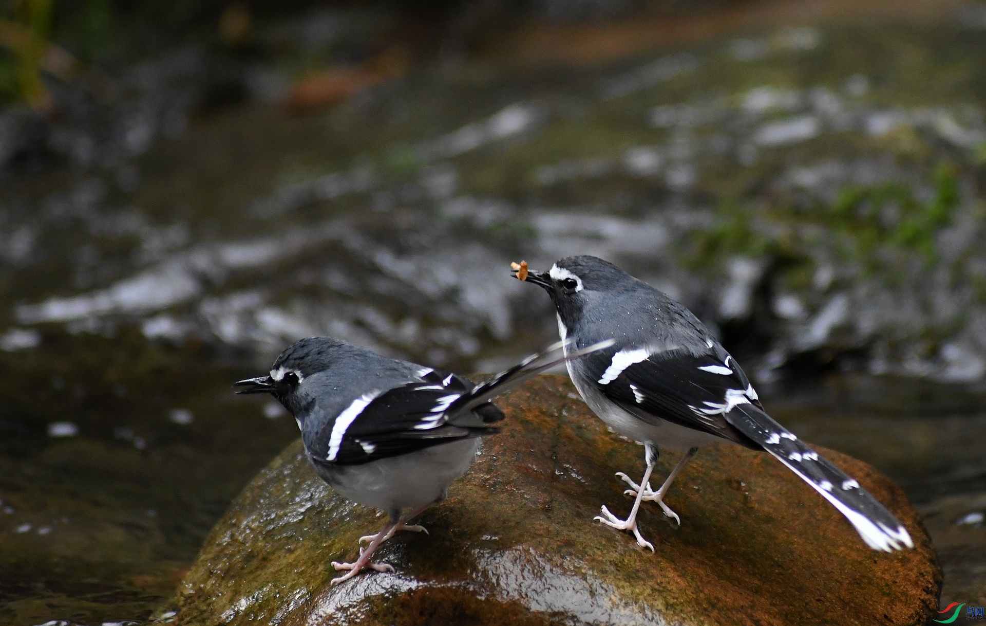 DSC_3796.jpg