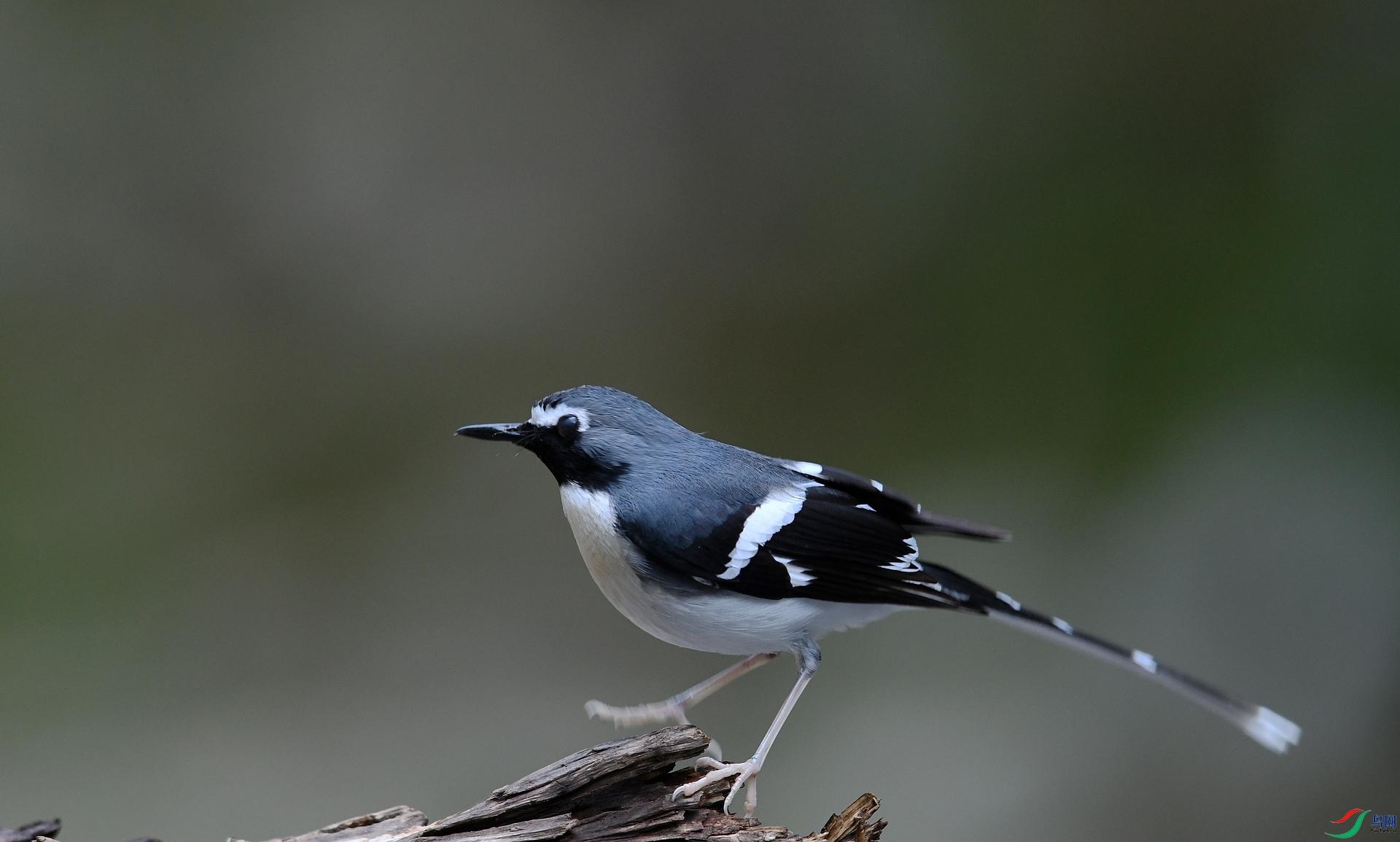 DSC_5743.jpg