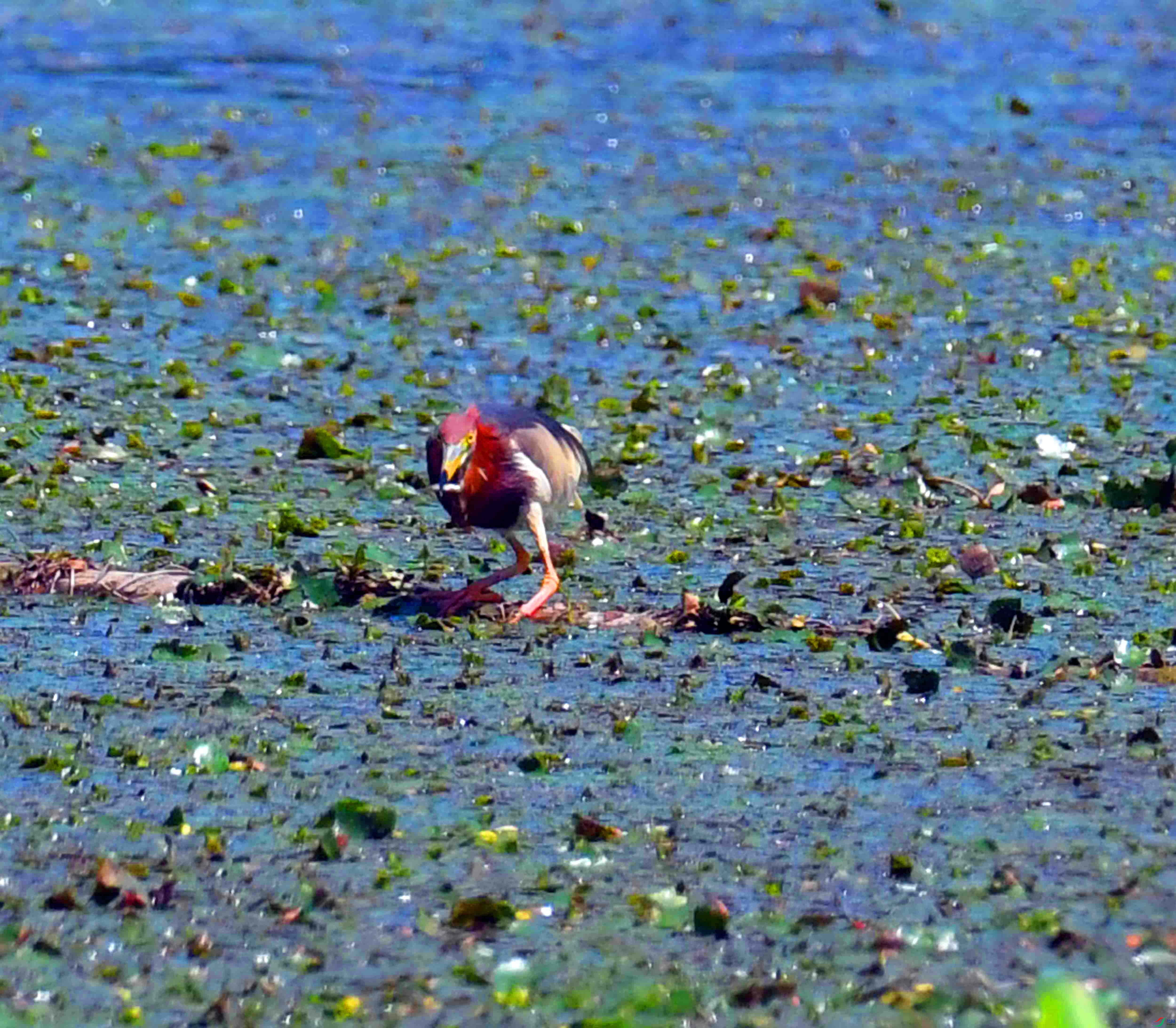 DSC_6544.JPG