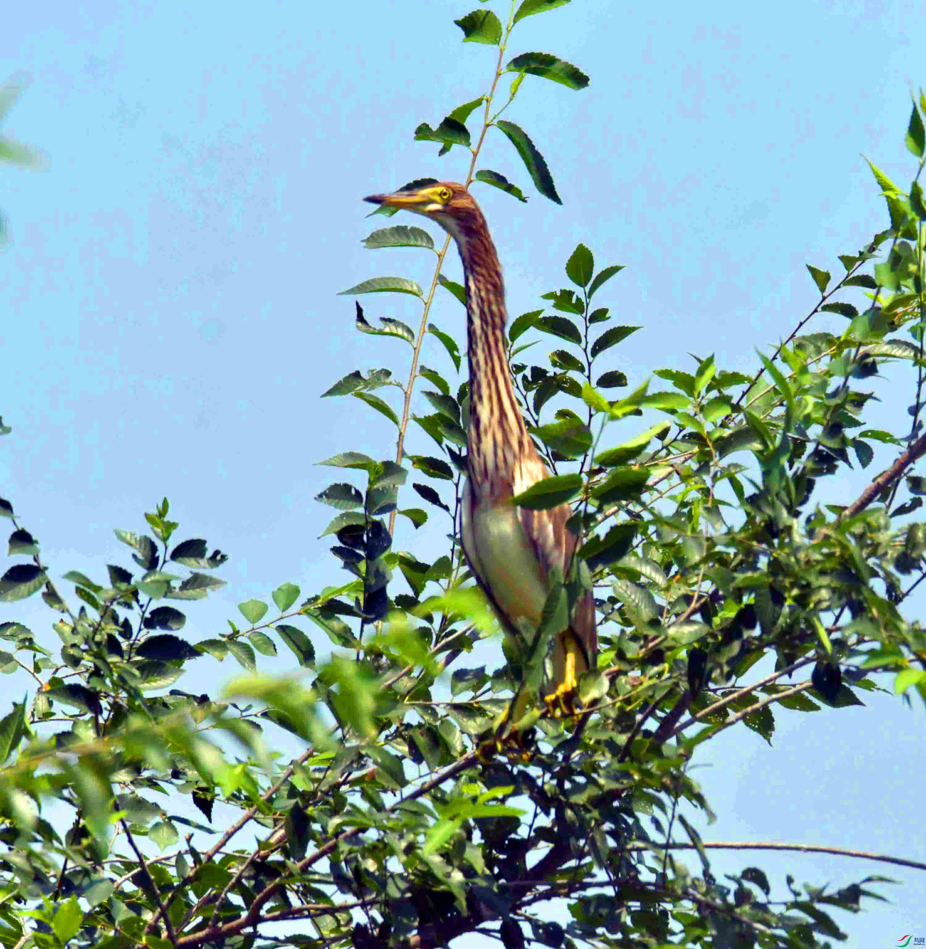 DSC_7057.JPG