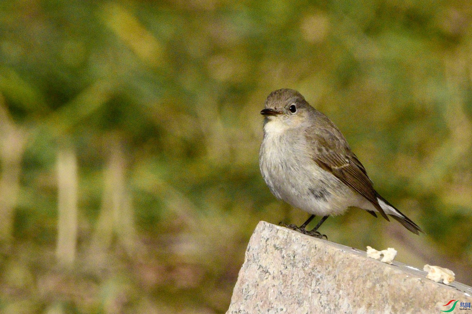 DSC_1757.JPG
