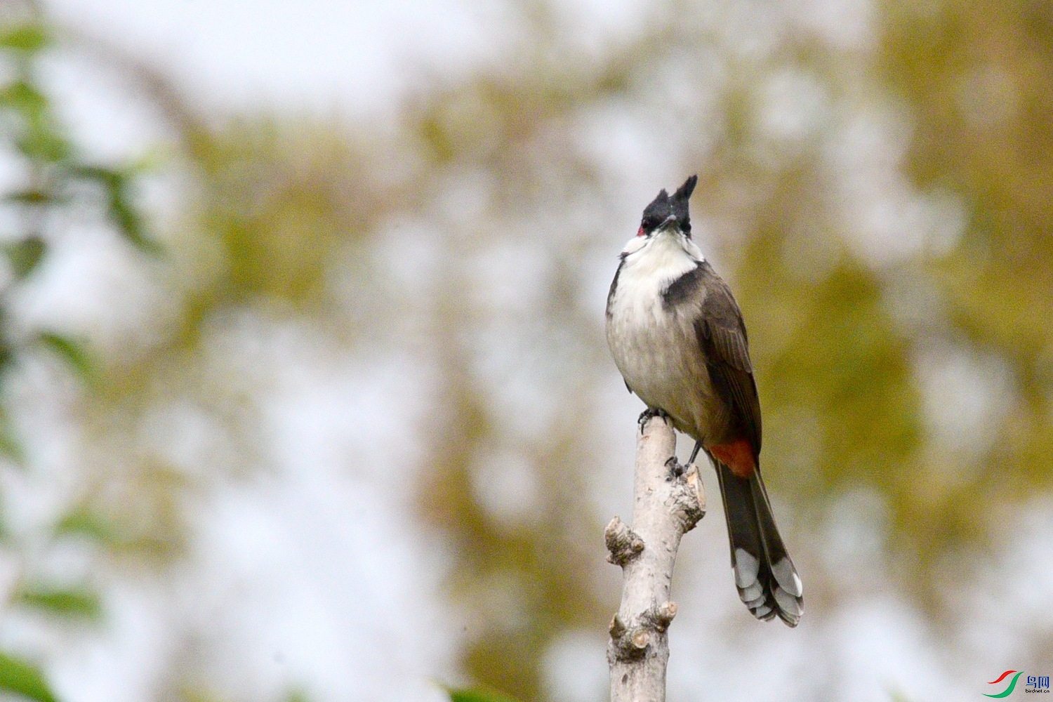 DSC_5247.JPG