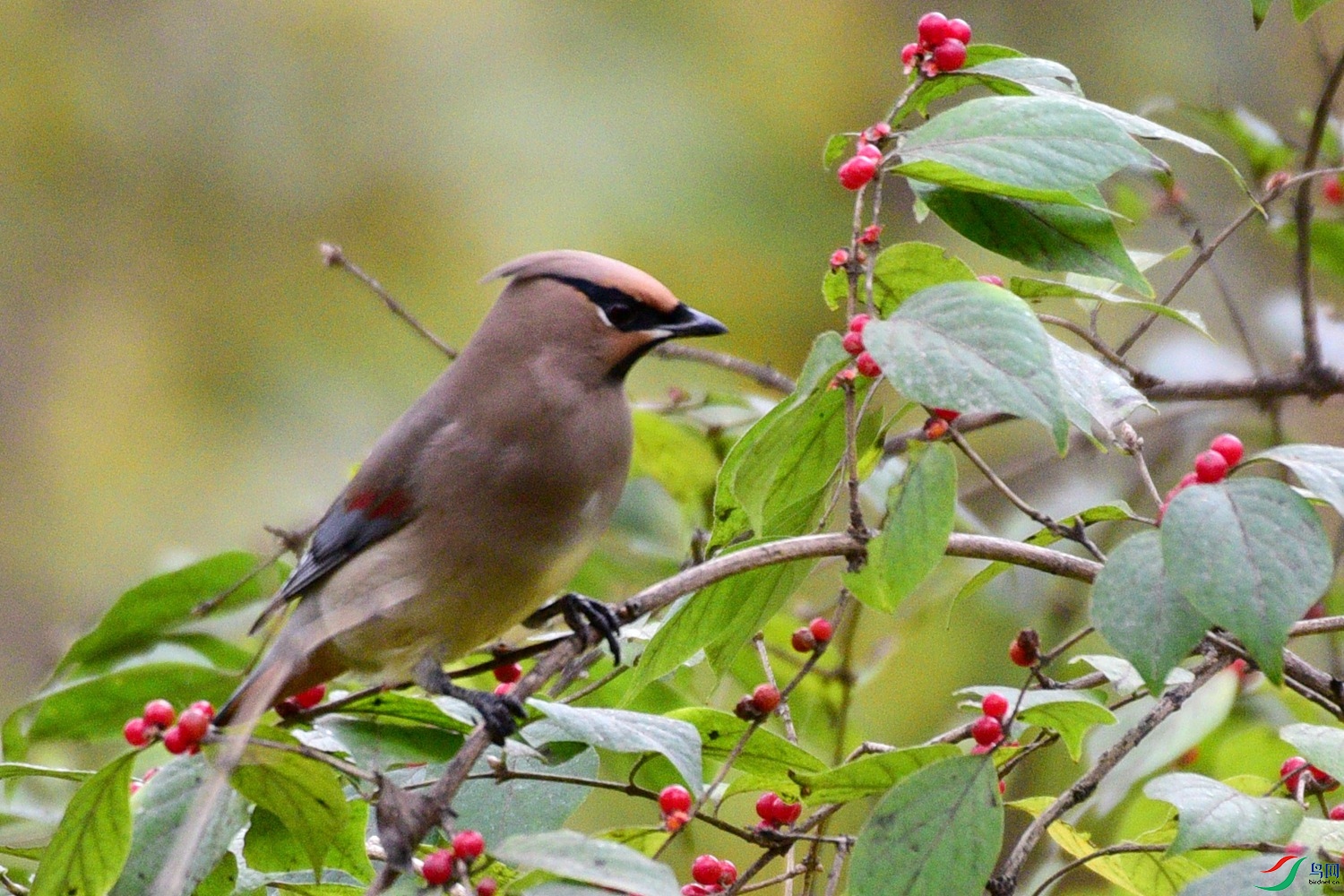 DSC_5858.JPG