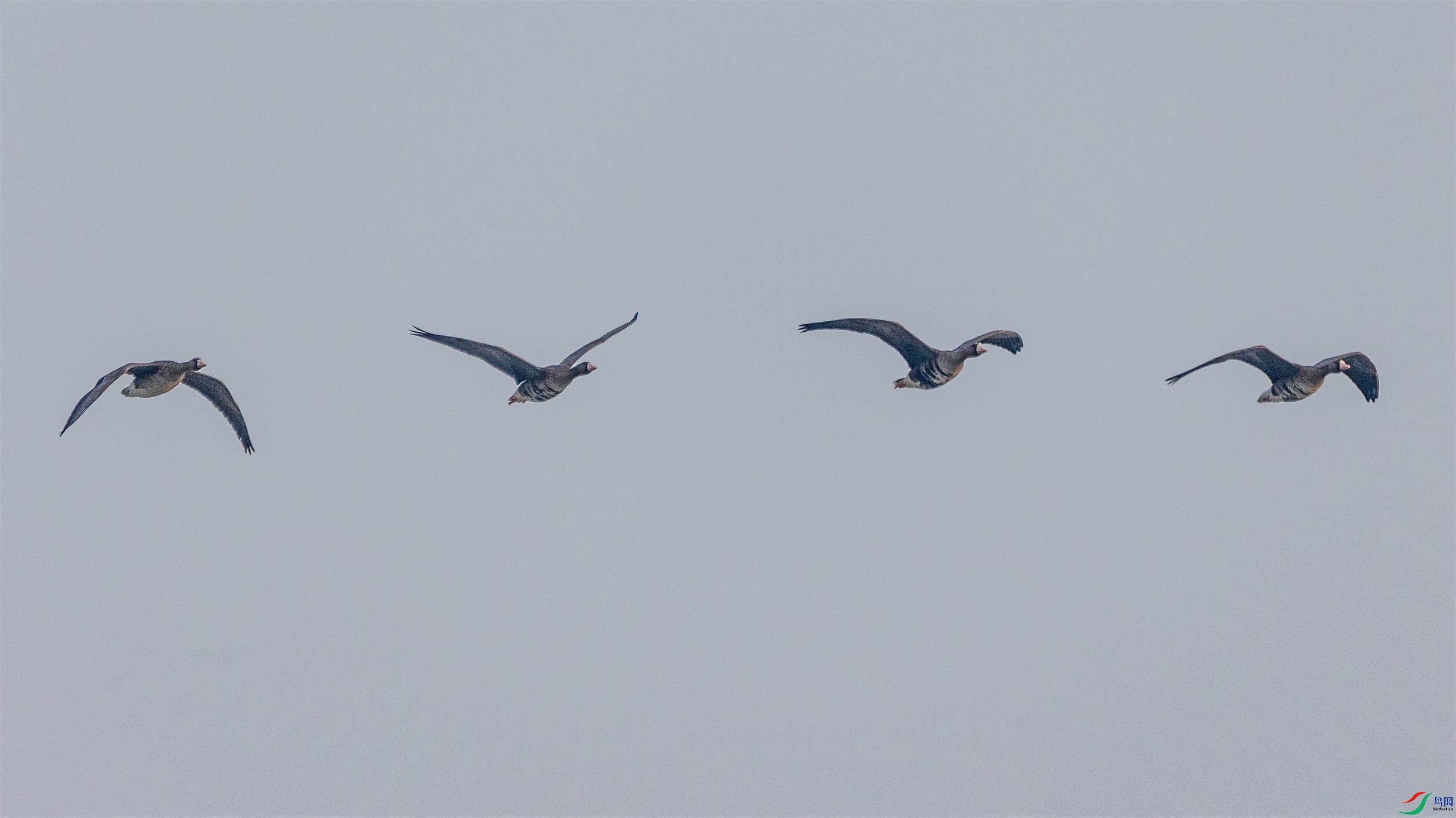 1K3A3558 ����1.jpg