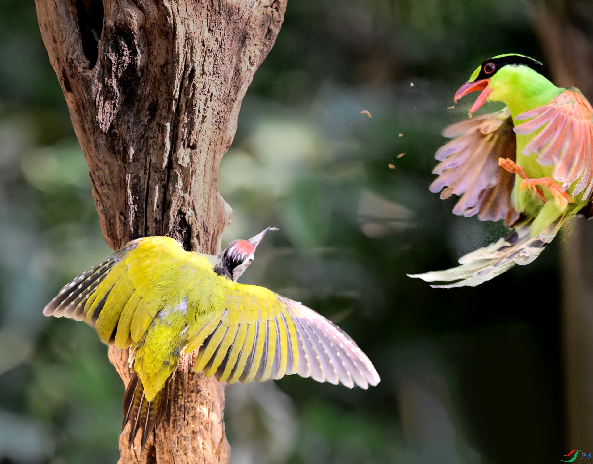 ����һ��