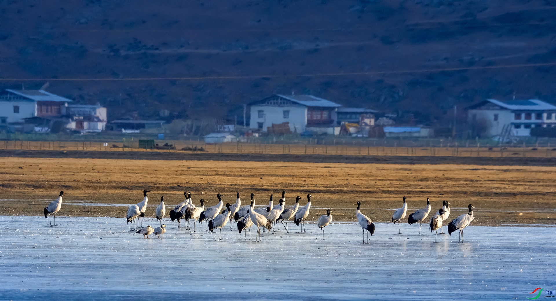 ���������糿 ����01.jpg