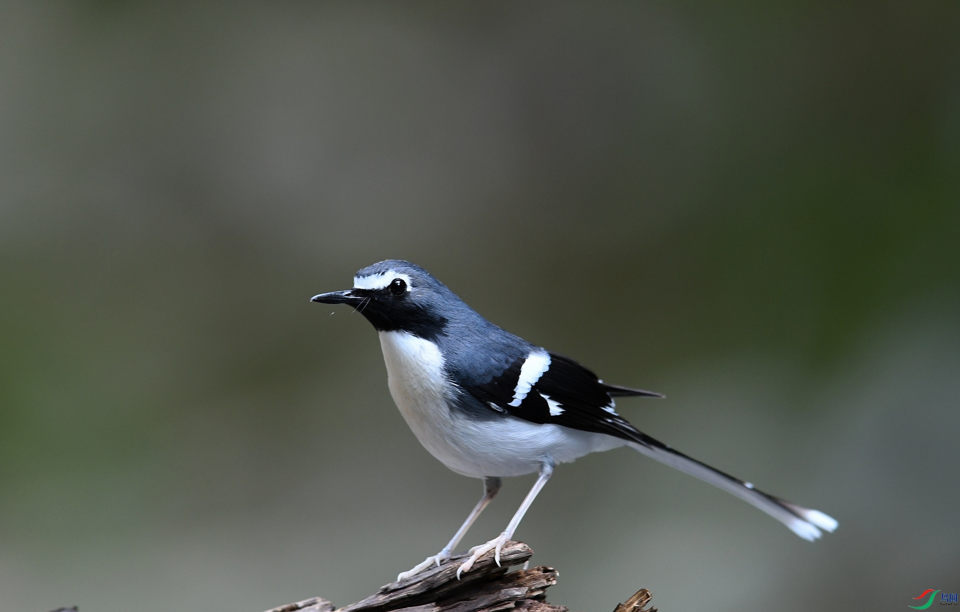DSC_5744.jpg