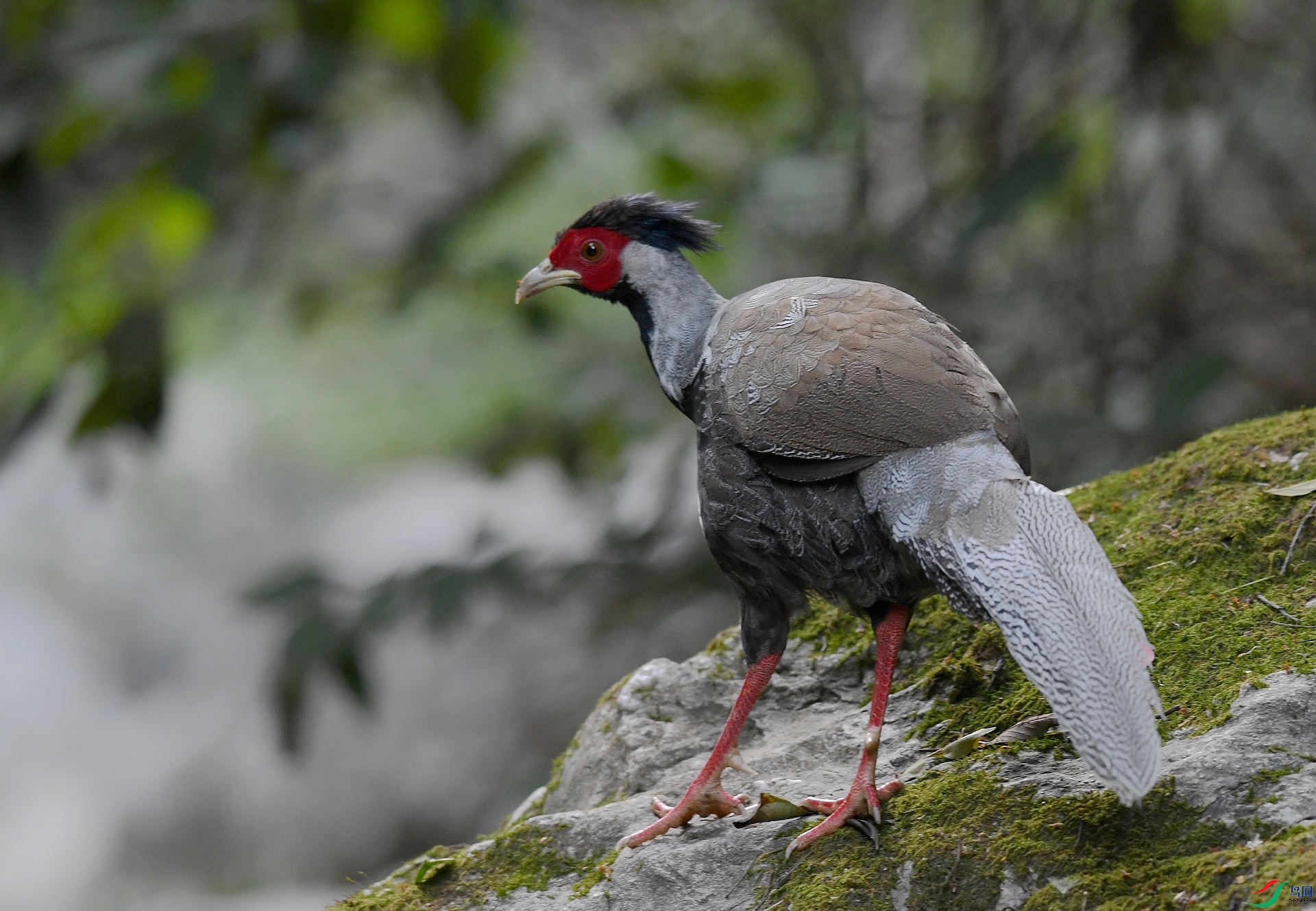 DSC_6714.jpg