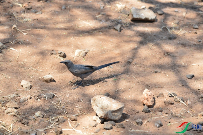 DSC_1290.JPG