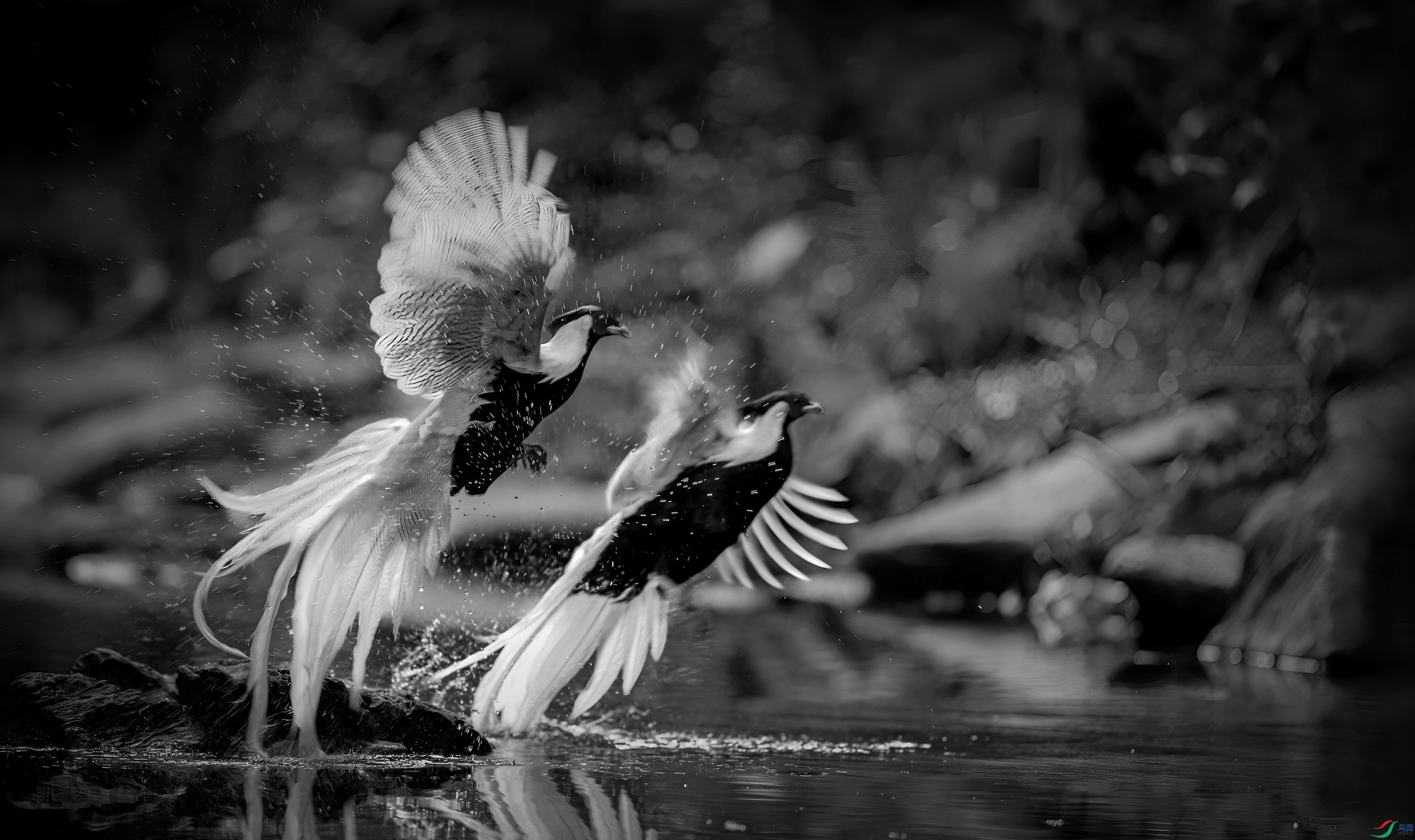 DSC04161_����.jpg