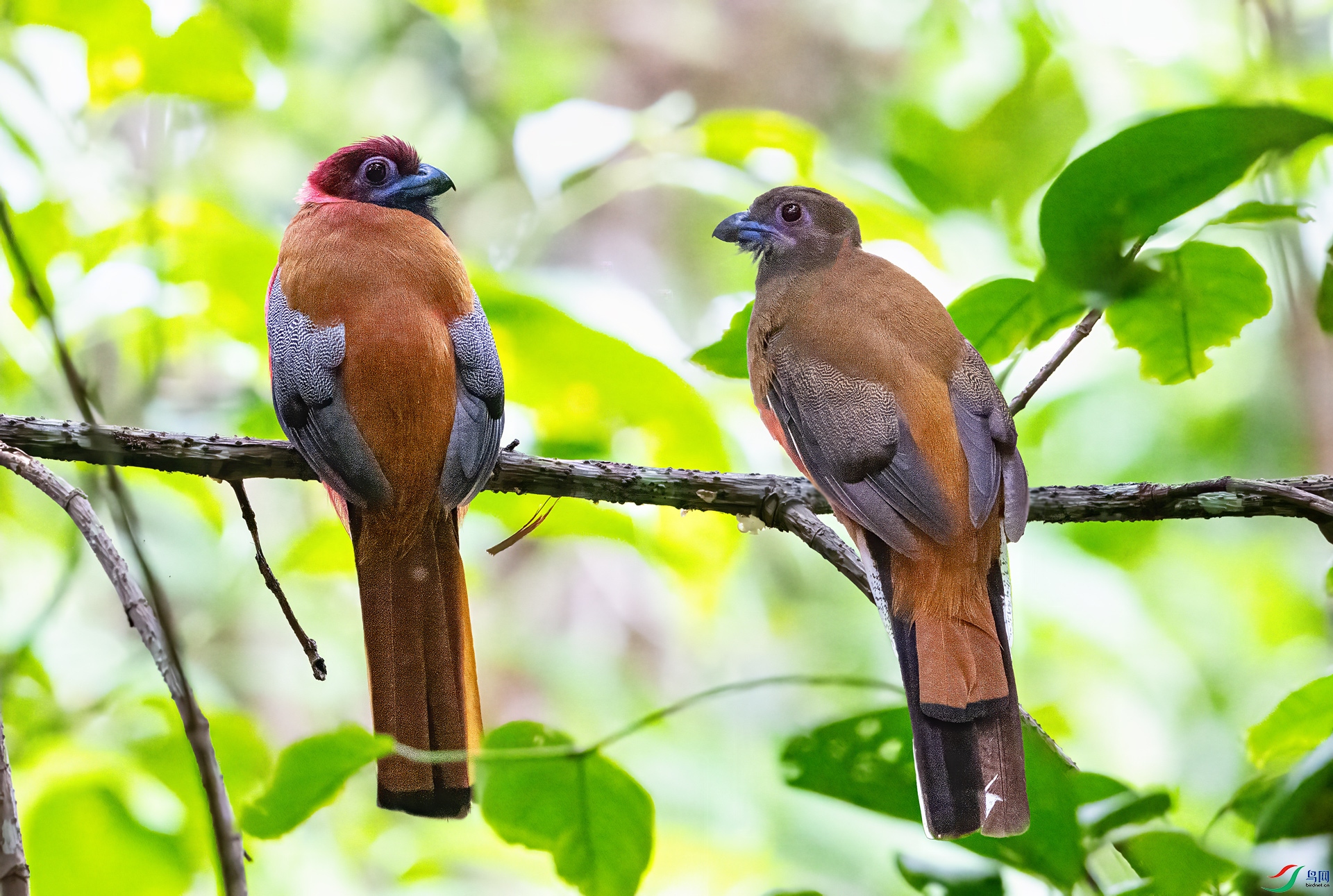 DSC_5804.jpg