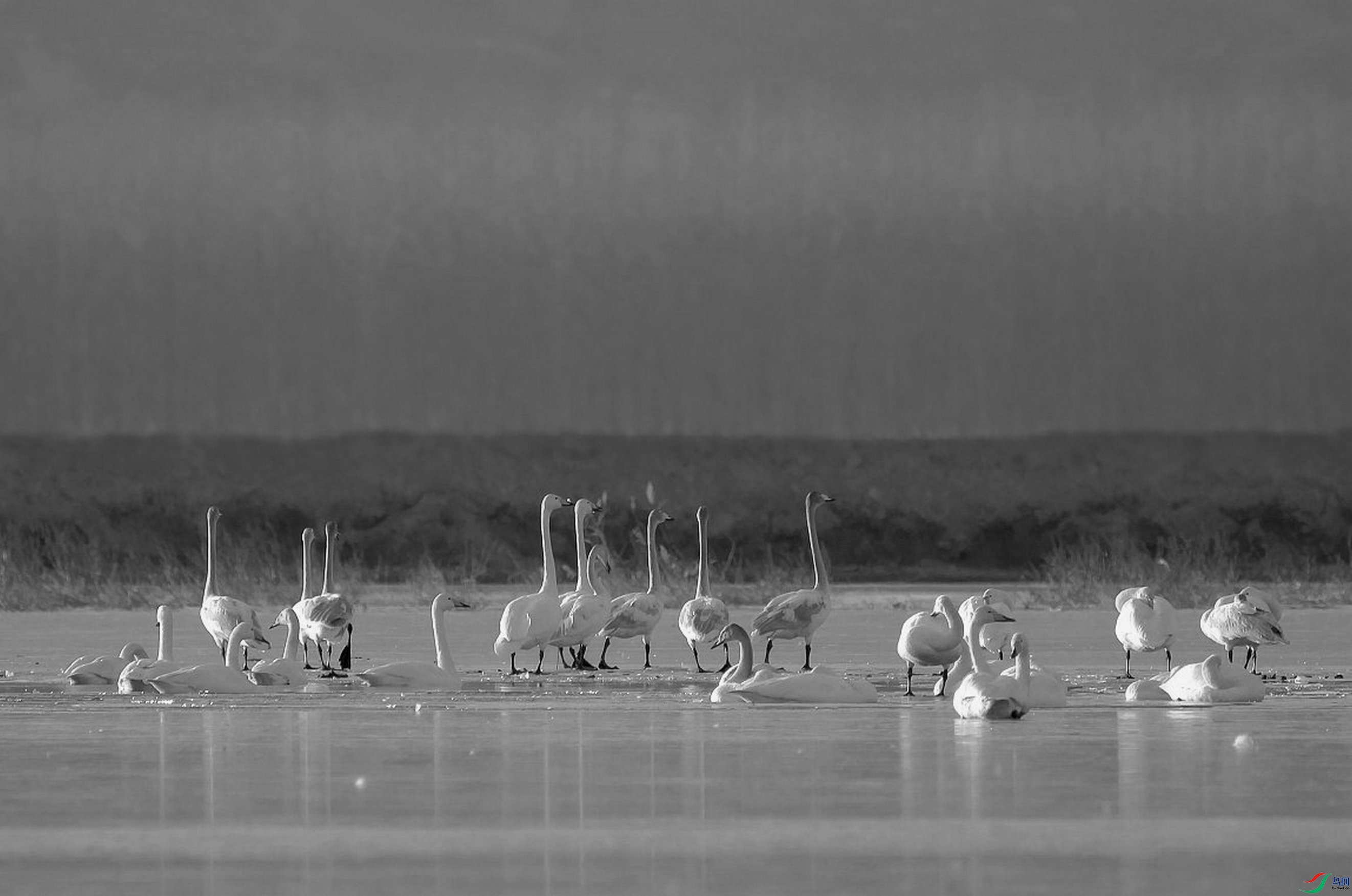 ���� IMG_4321-0_����_����.jpg