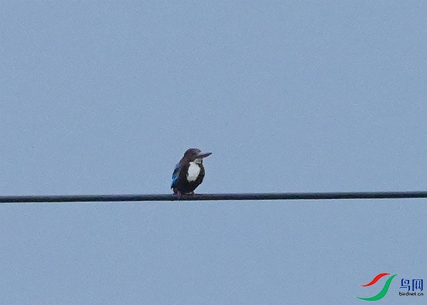 DSC_6395.JPG