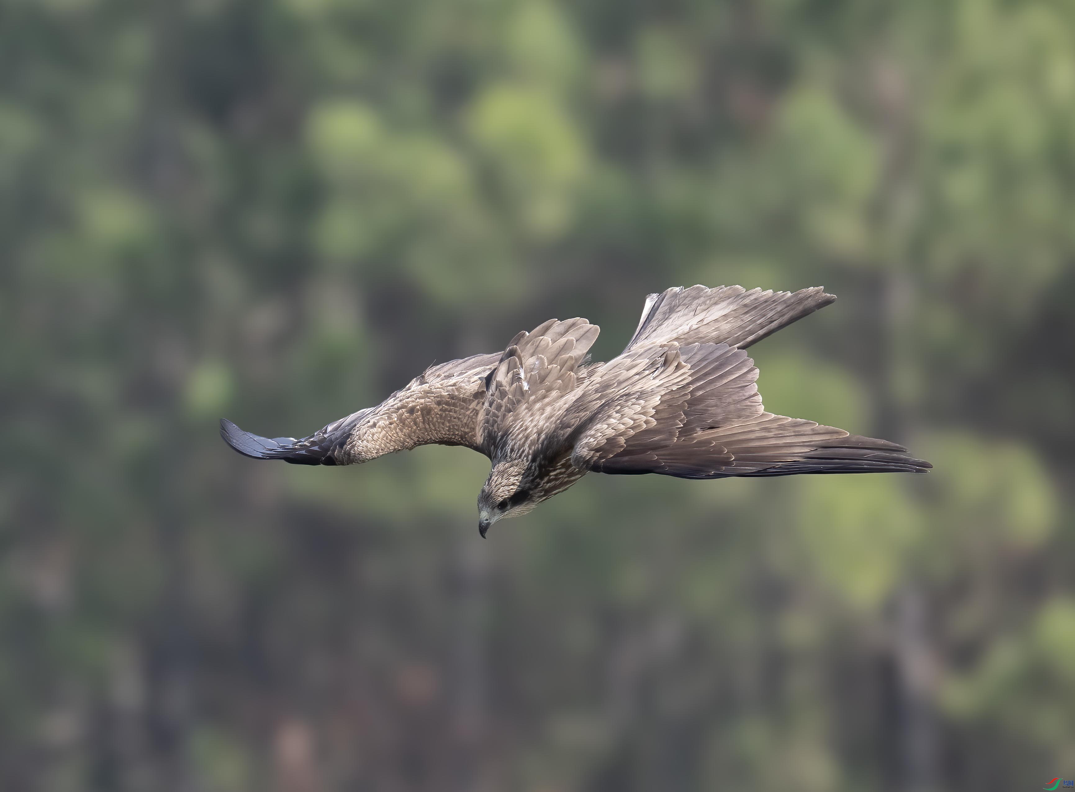 DSC_7624 ����.jpg