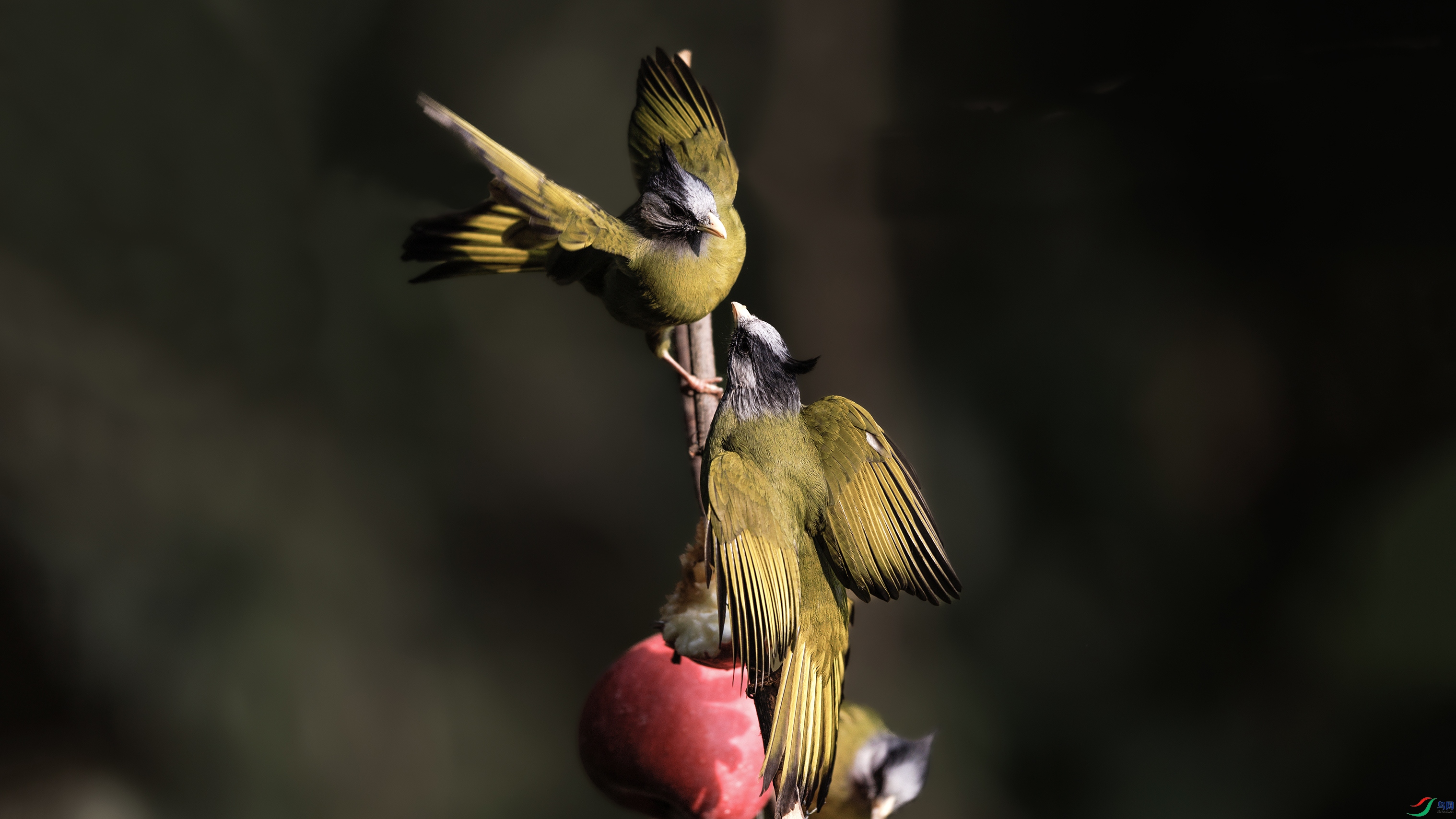 _O7A5460 ����4444.jpg