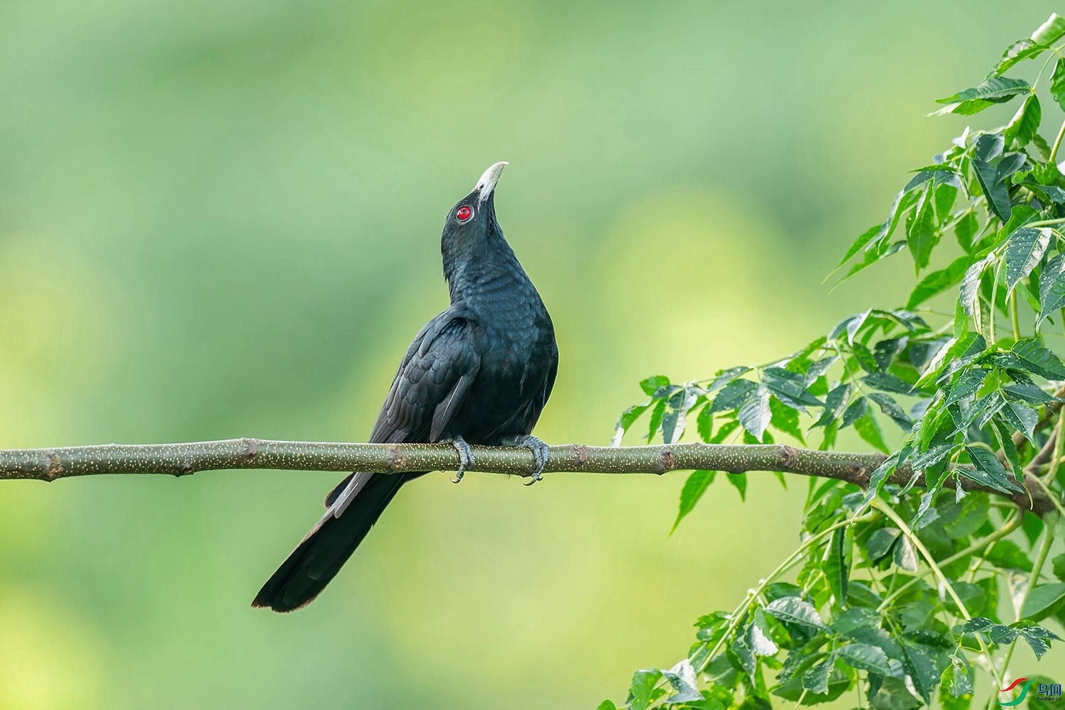 DSC_7652.jpg