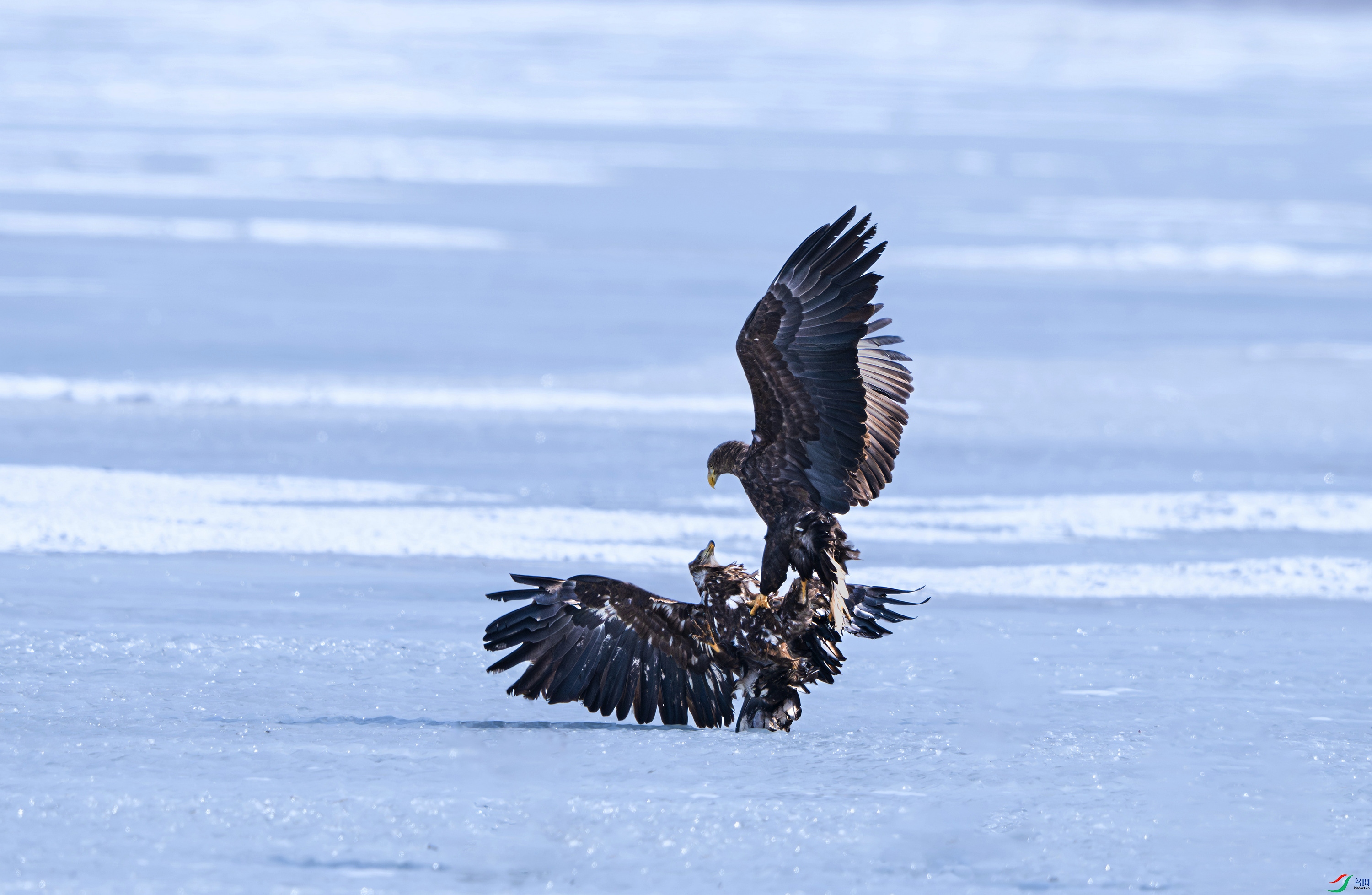 DSC_4059.jpg